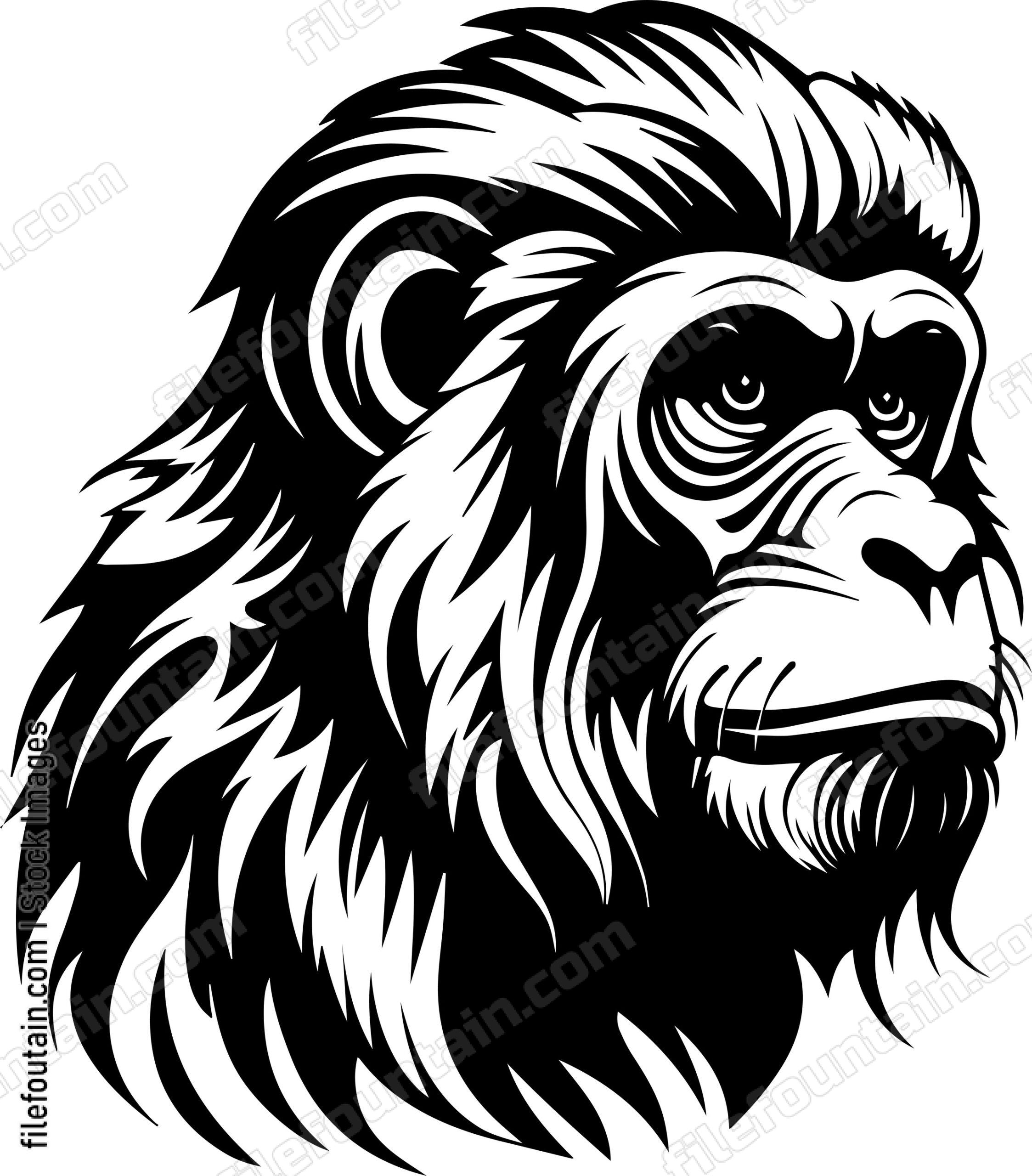 Baboon