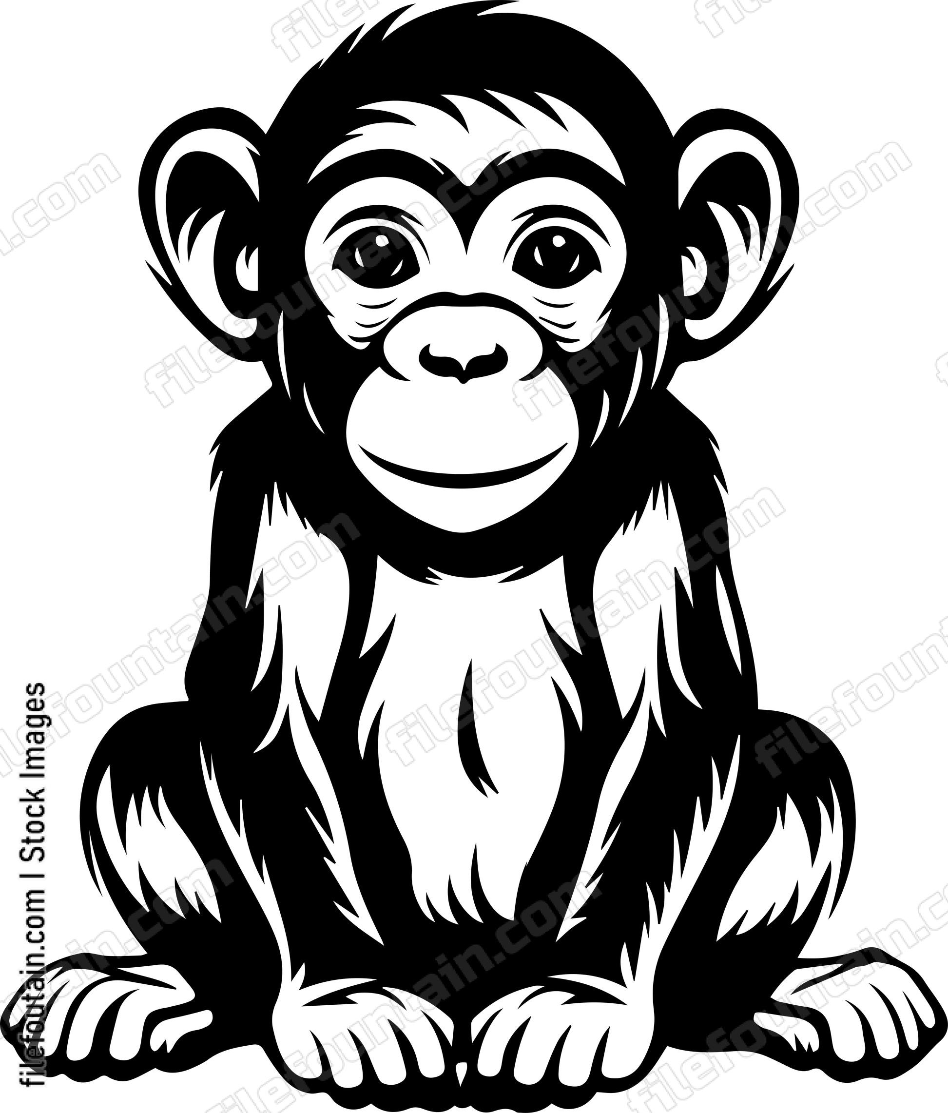 Baby Bonobo