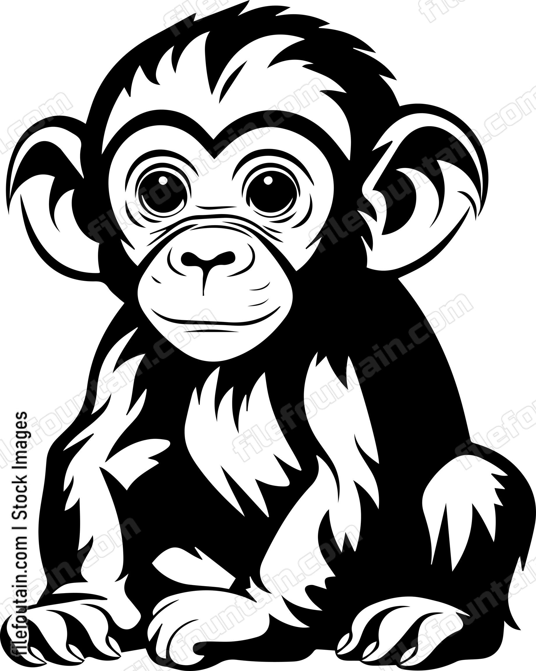 Baby Bonobo