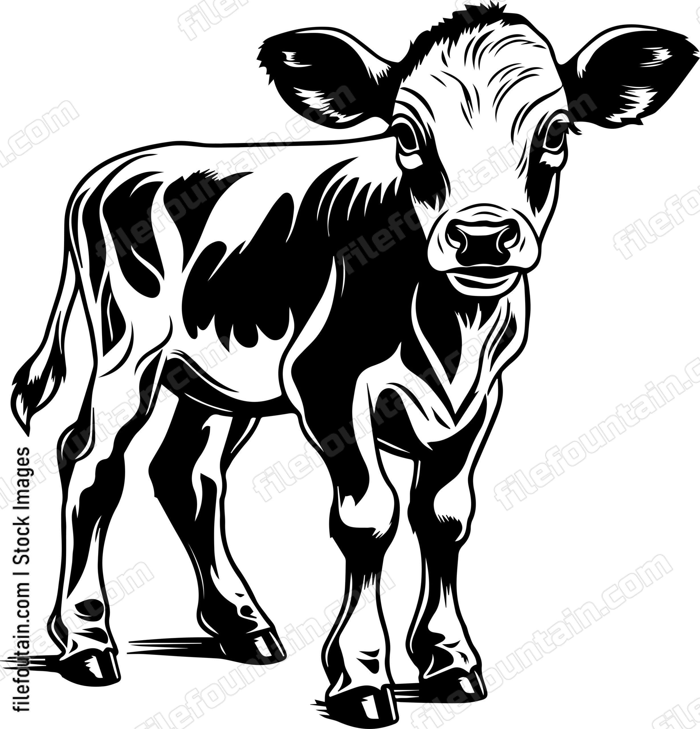 Baby Cow