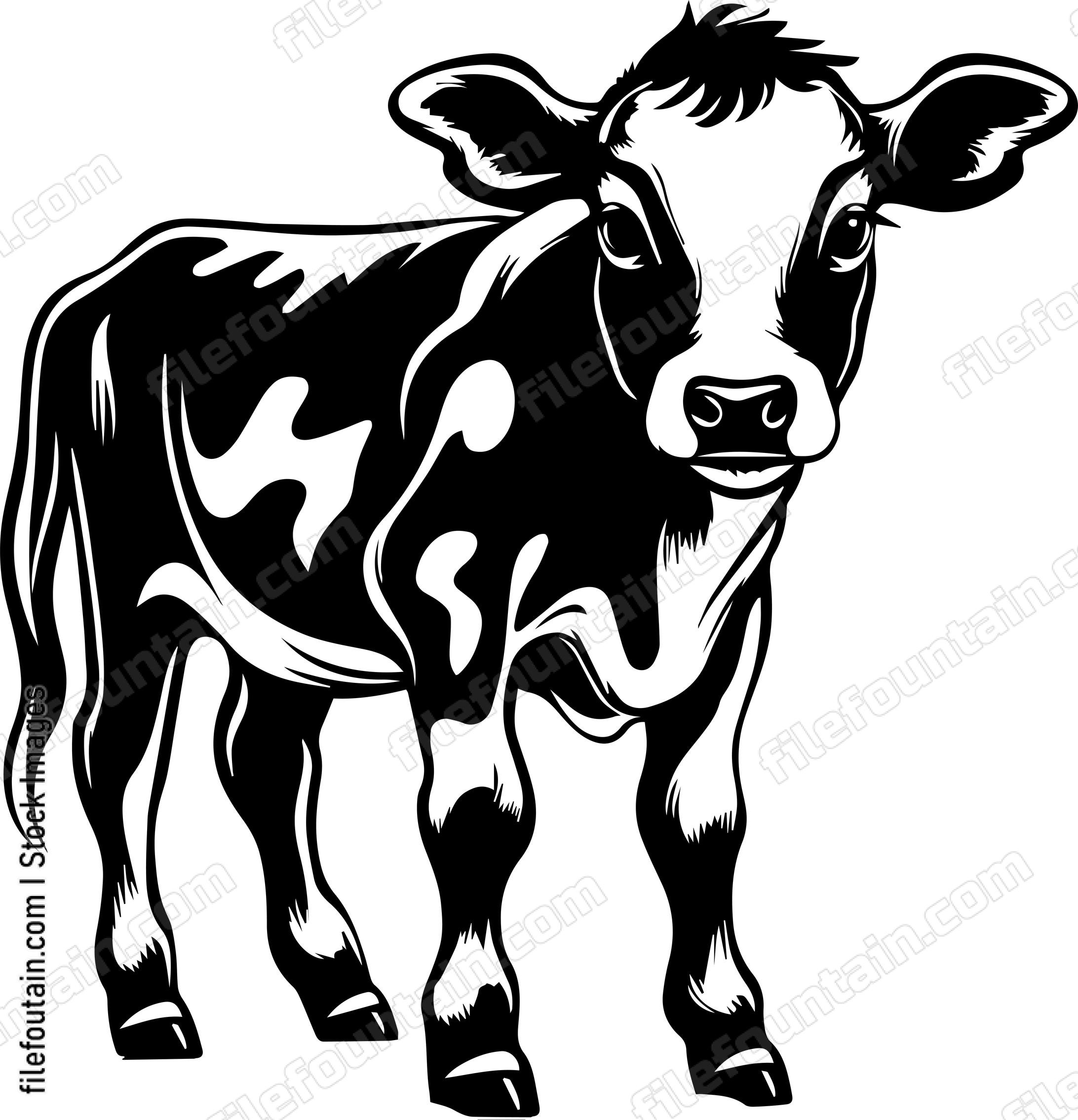 Baby Cow