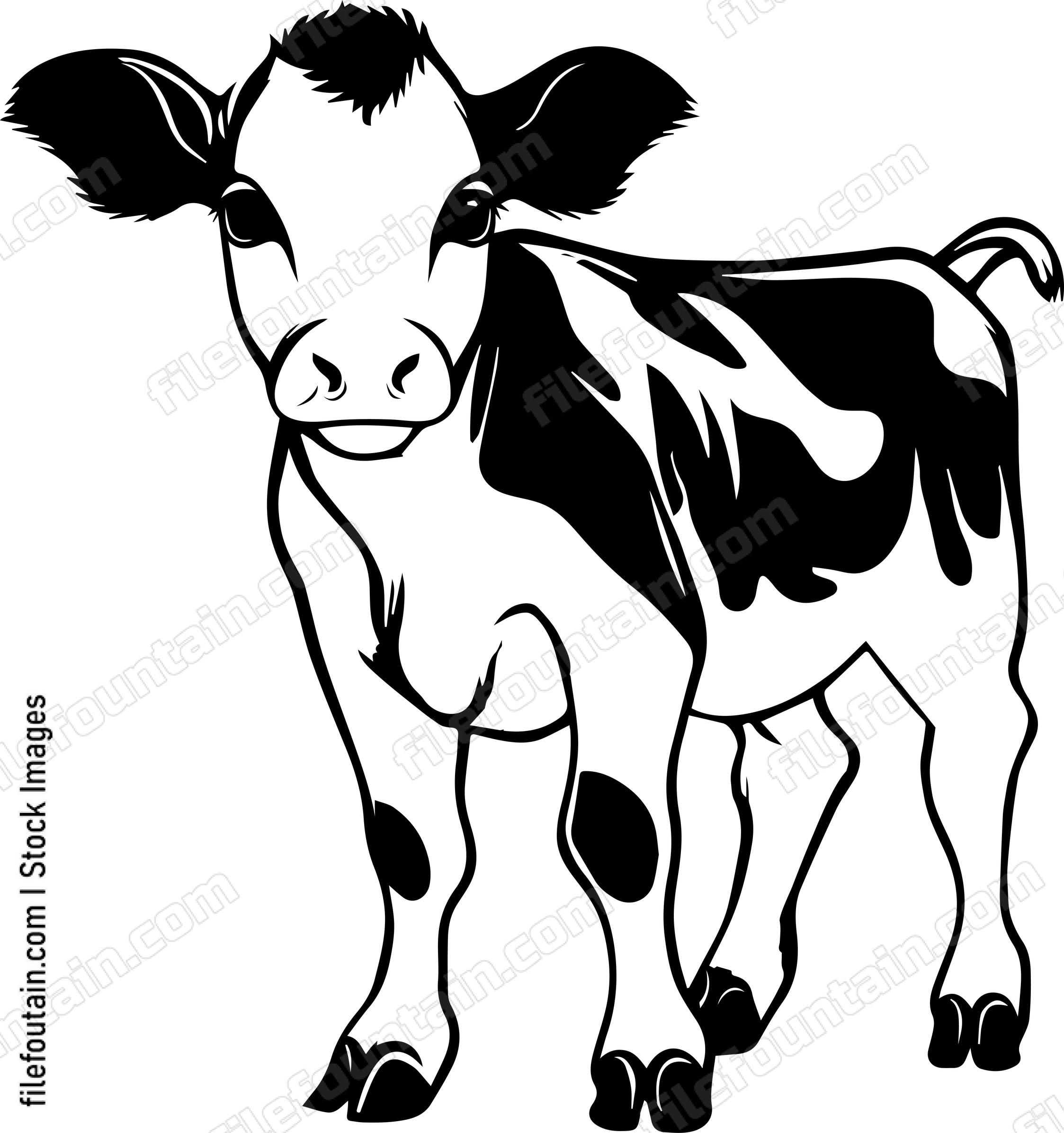 Baby Cow