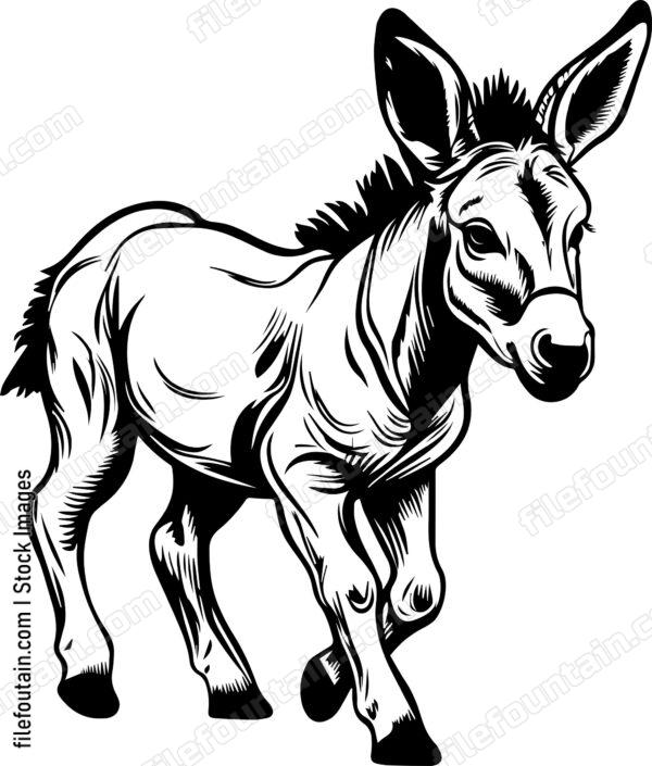 Baby Donkey Running