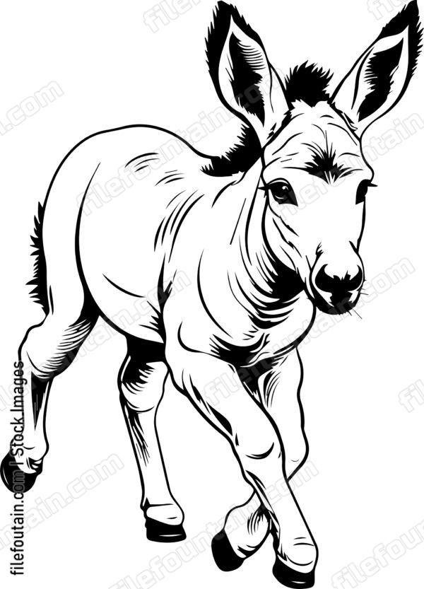 Baby Donkey Running