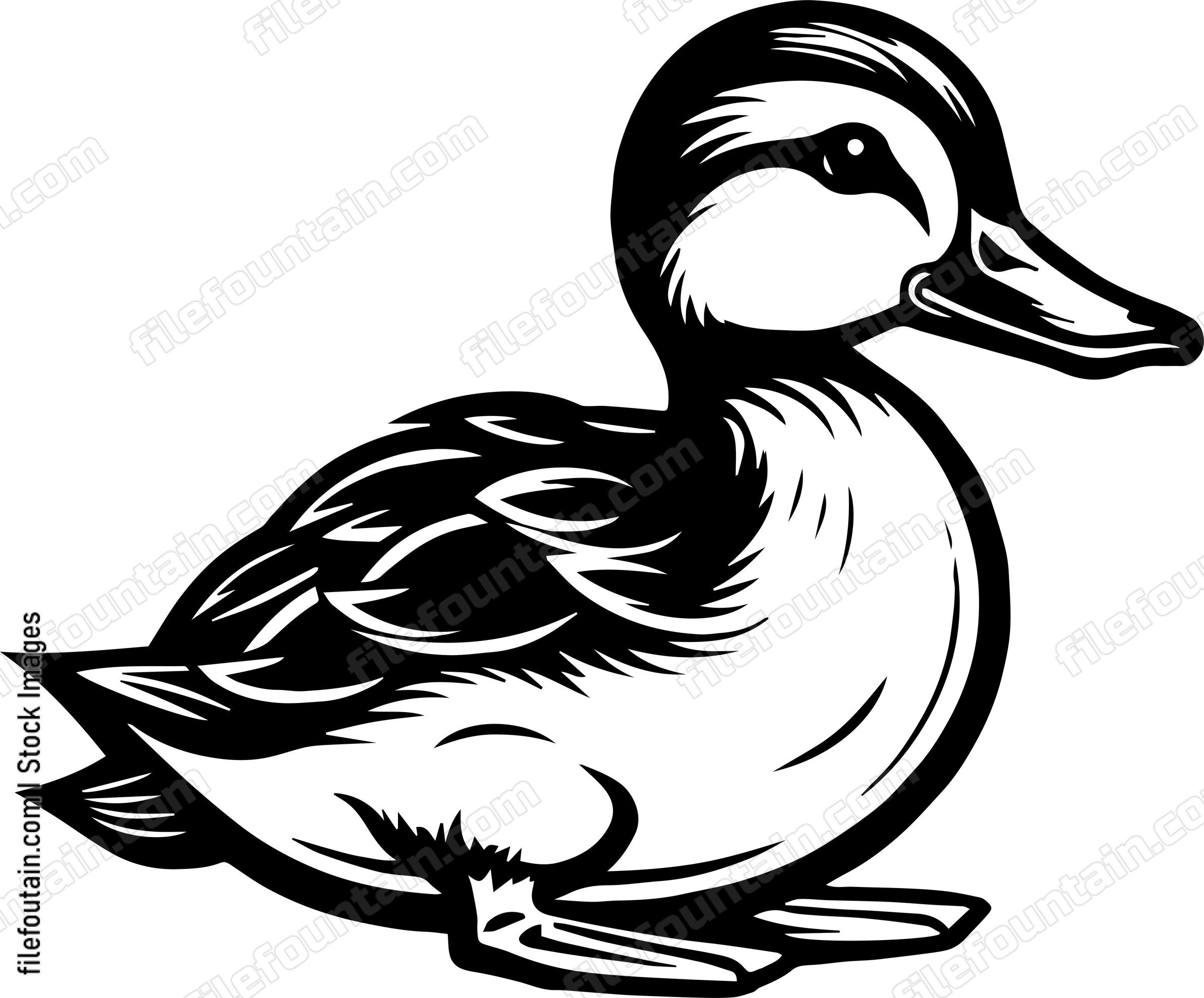 Baby Duck