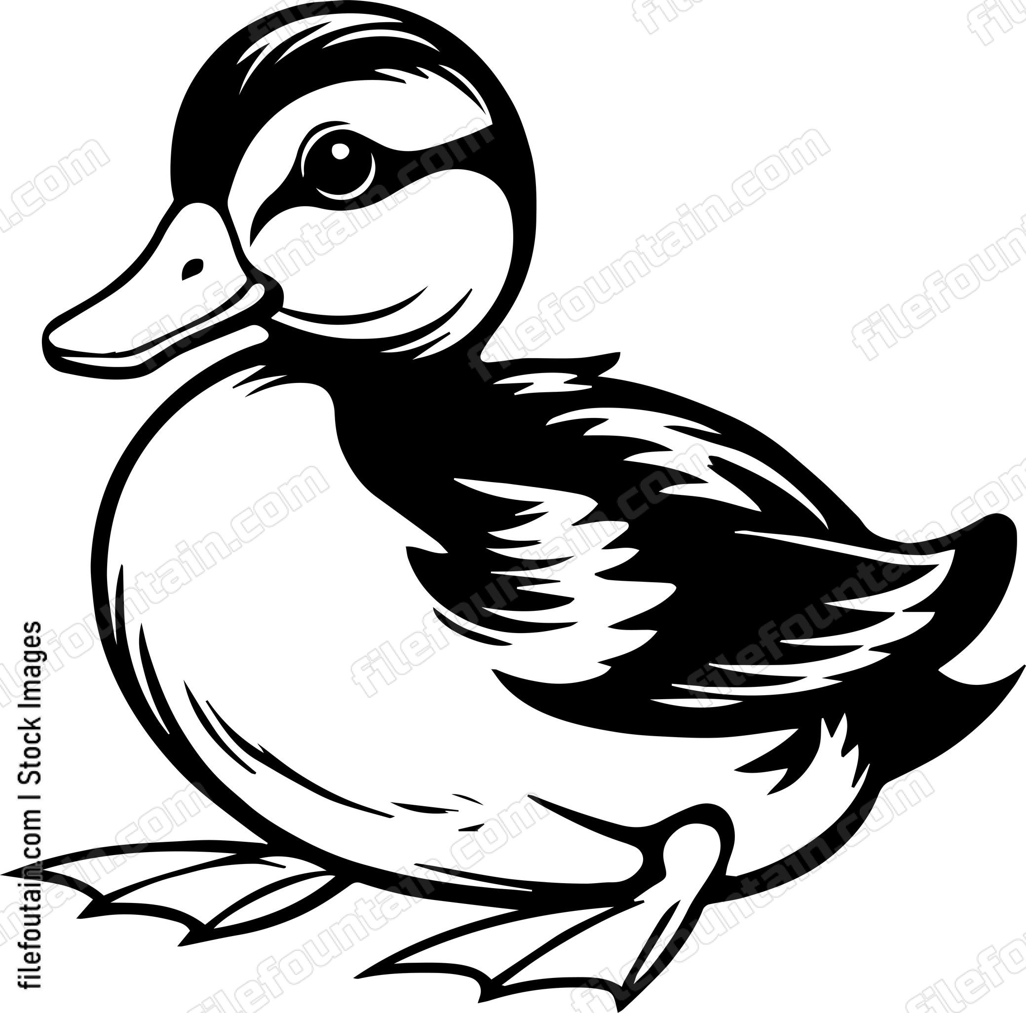 Baby Duck