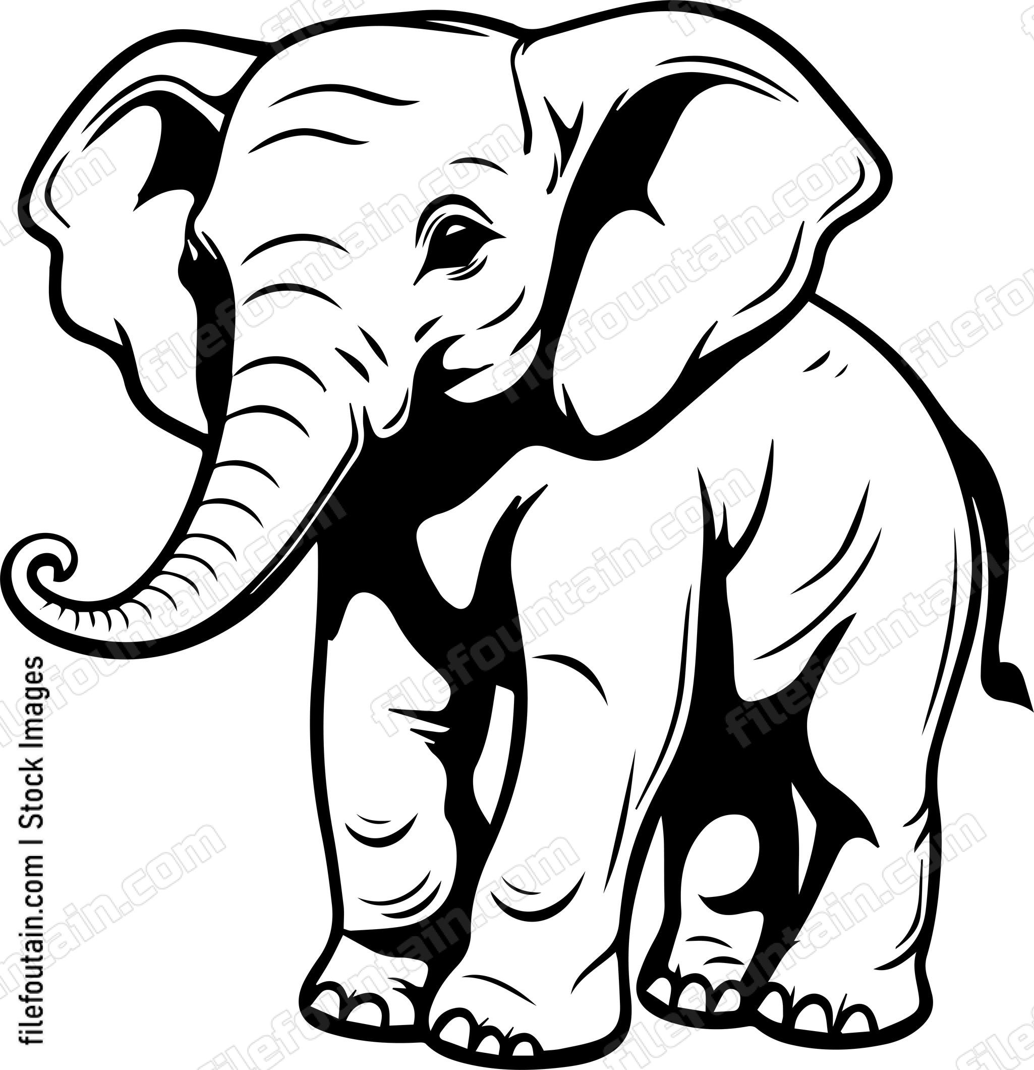 Baby Elephant