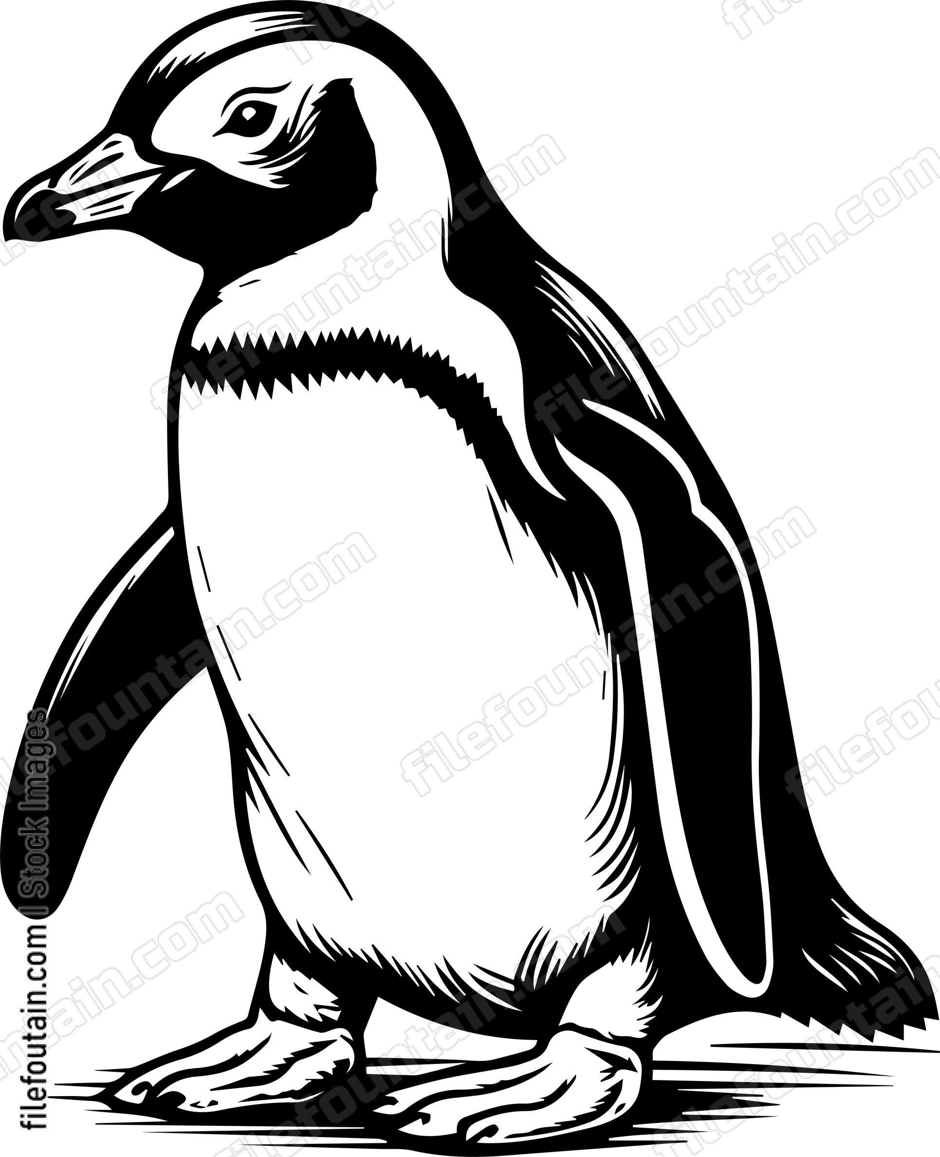 Baby Emperor Penguin