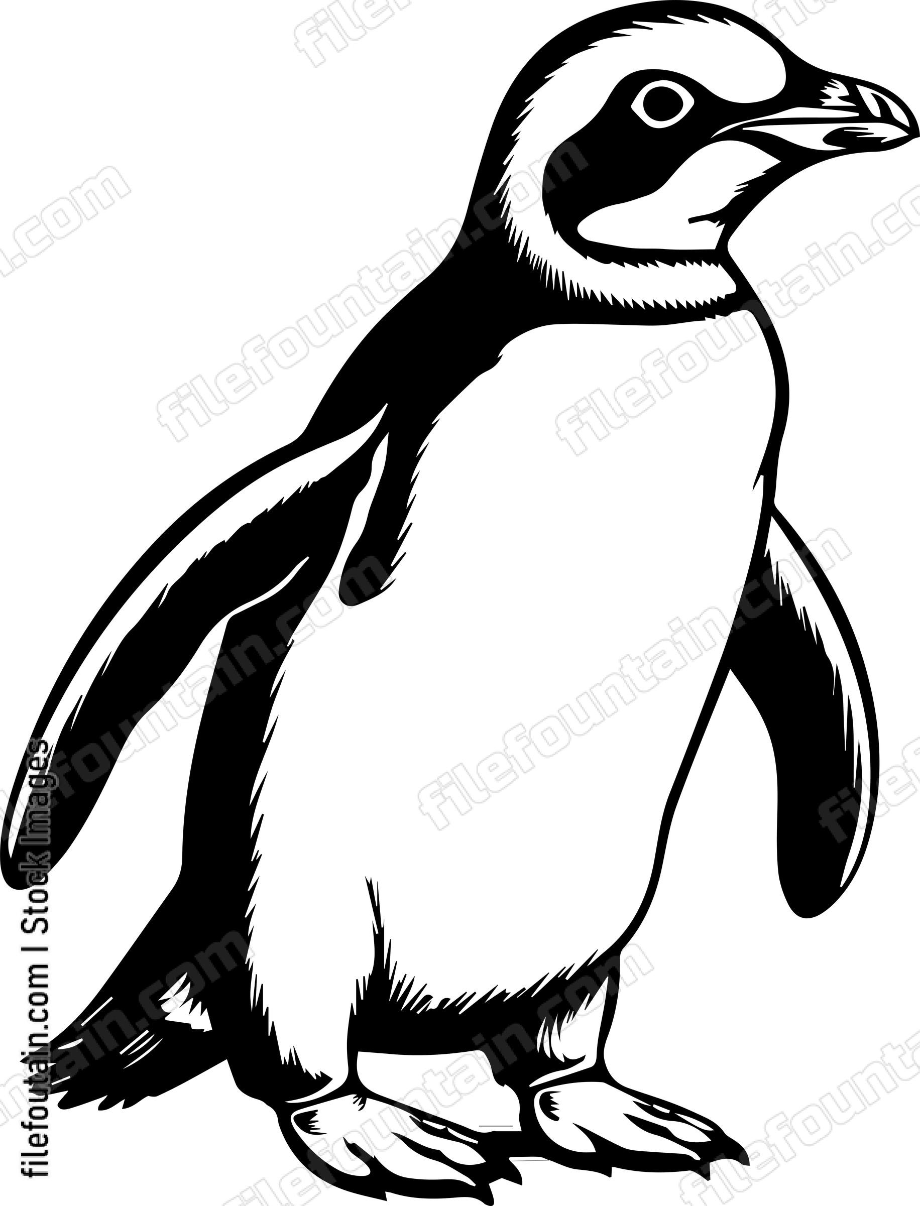 Baby Emperor Penguin