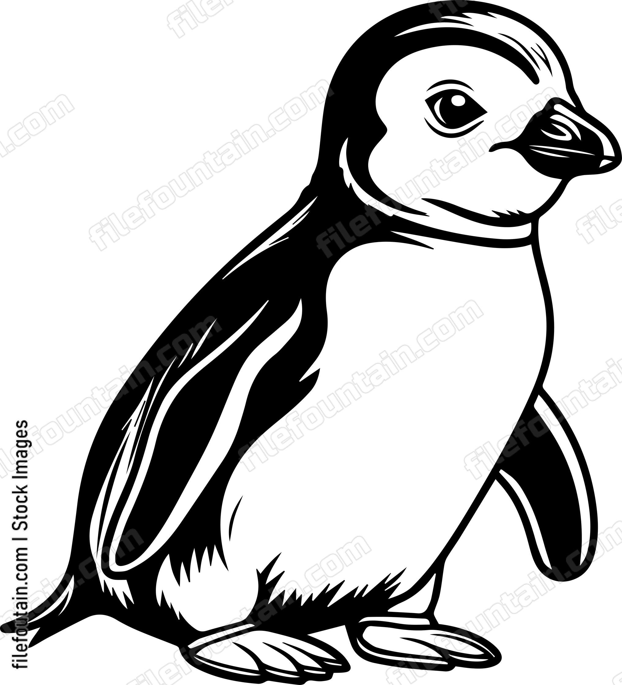 Baby Emperor Penguin