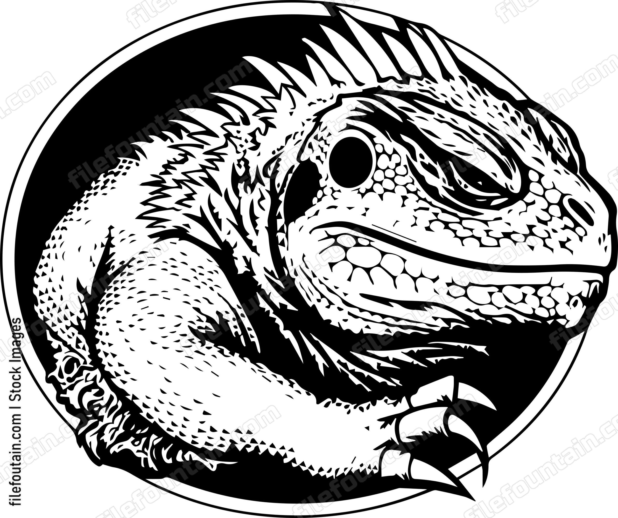 Bearded Dragon