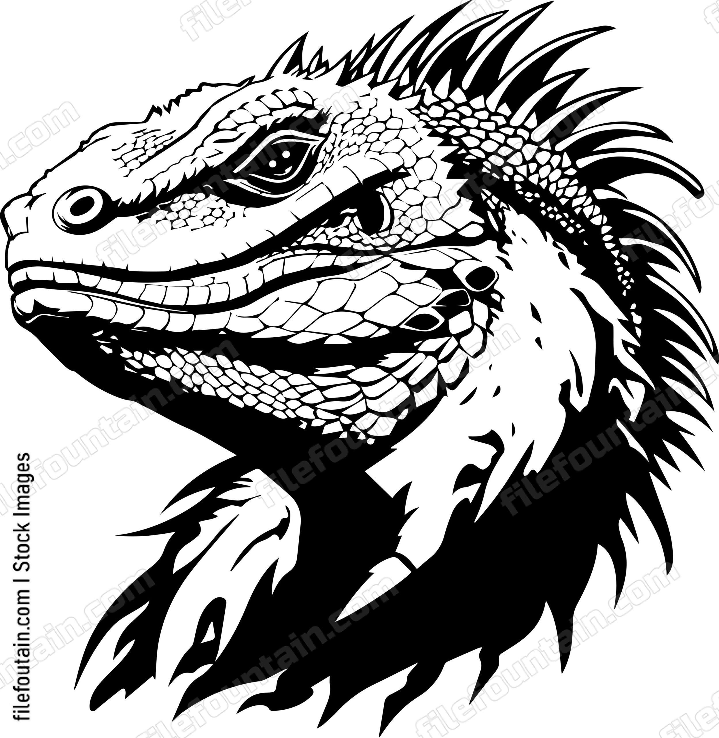 Bearded Dragon