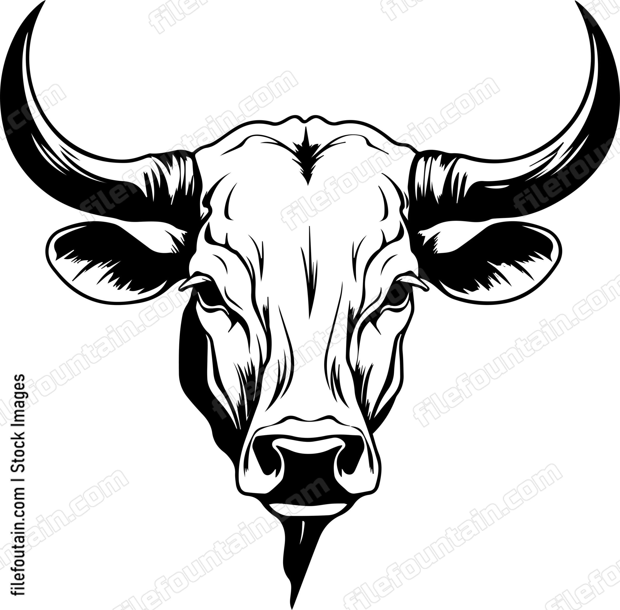Beef Cattle Mascot