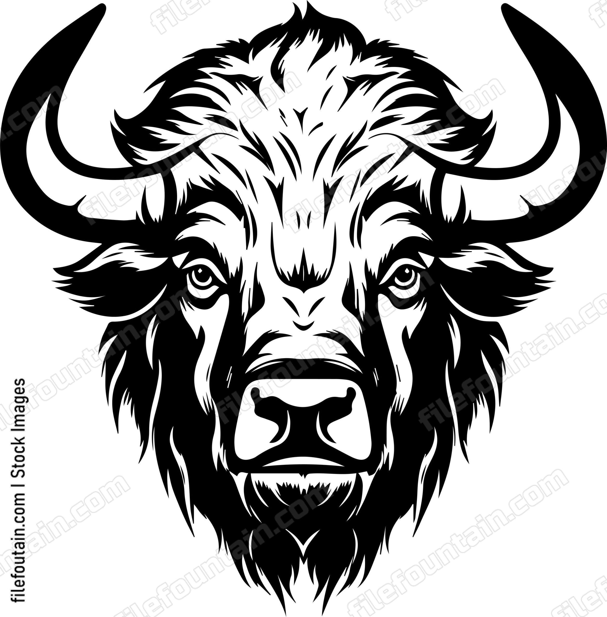 Bison
