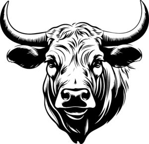 Bull