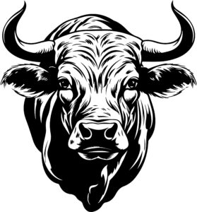 Bull