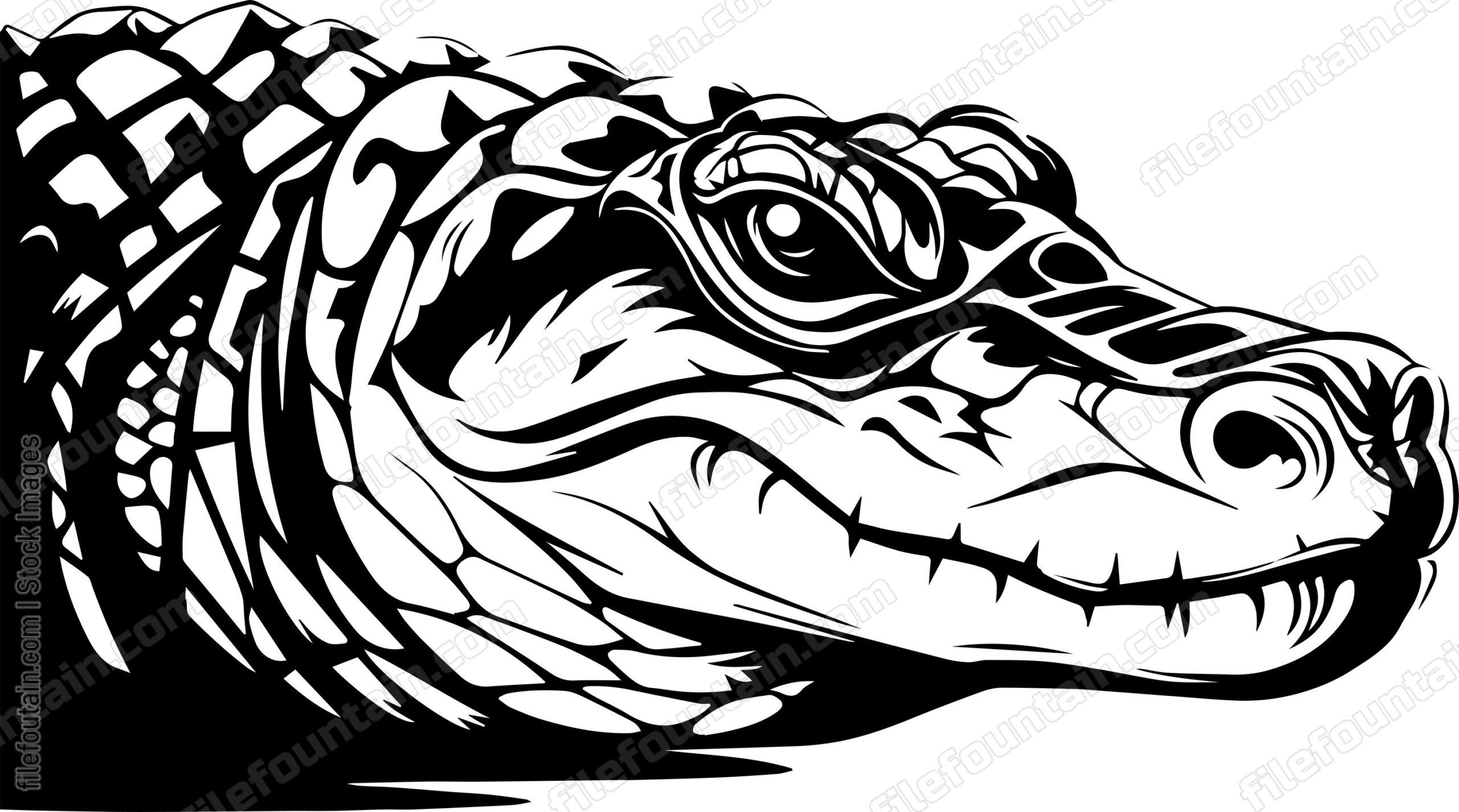 Caiman