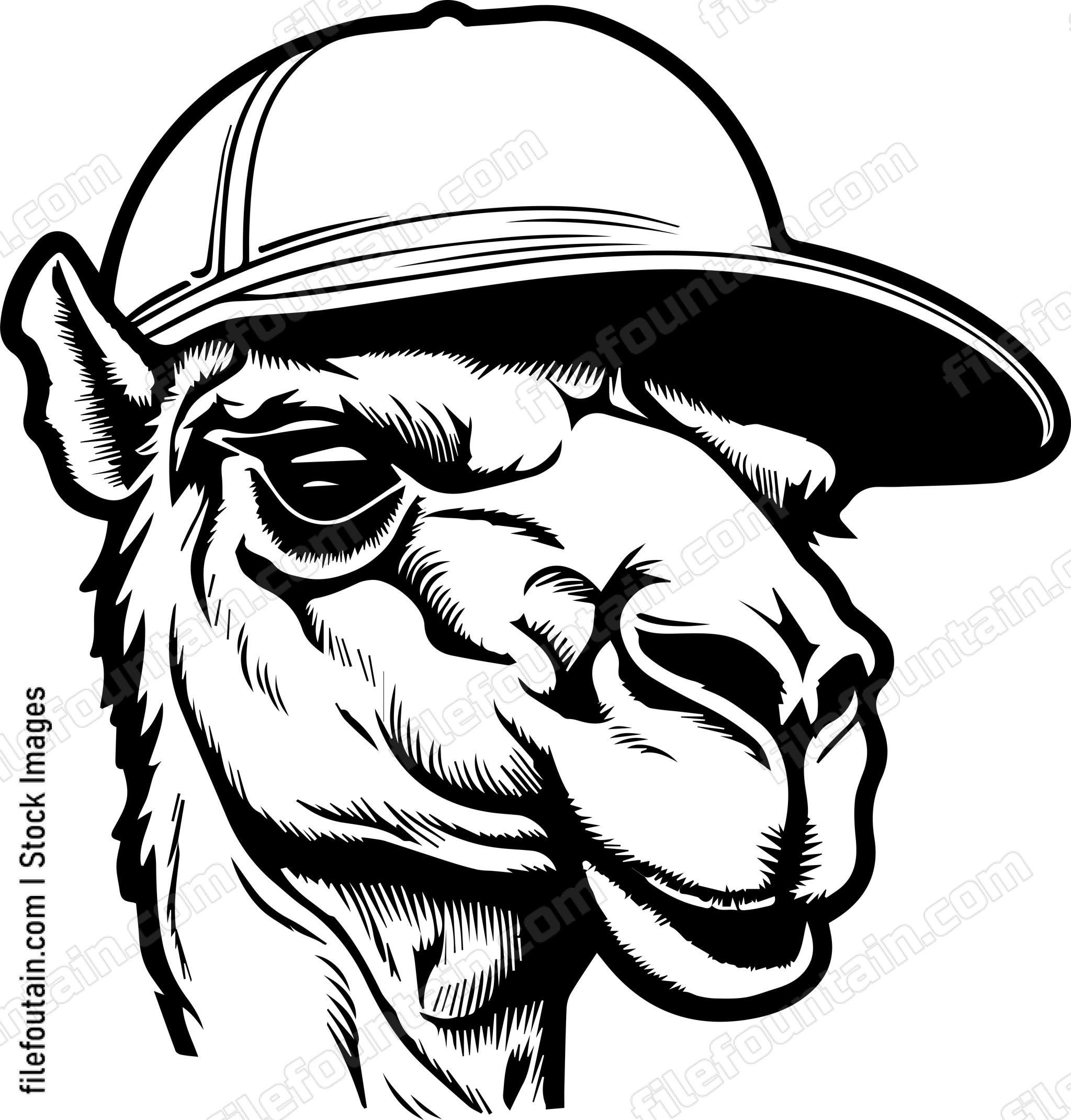 Camel In Baseball Cap