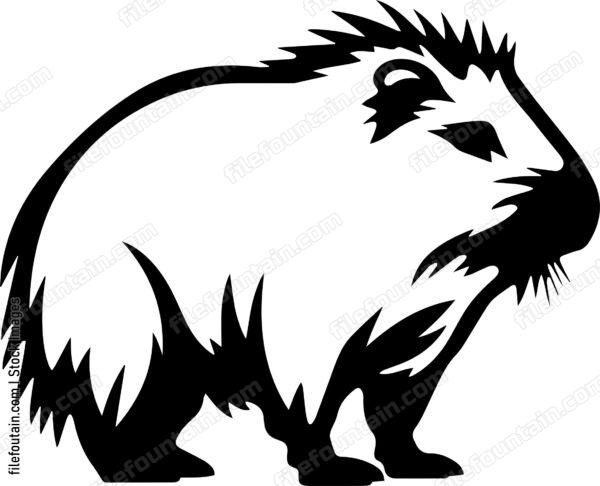 Capybara