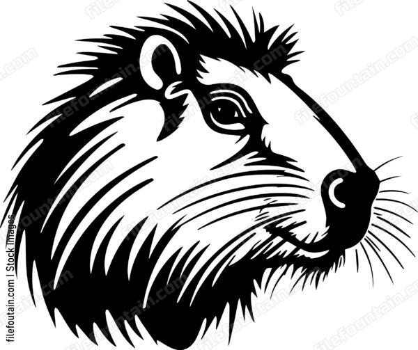 Capybara