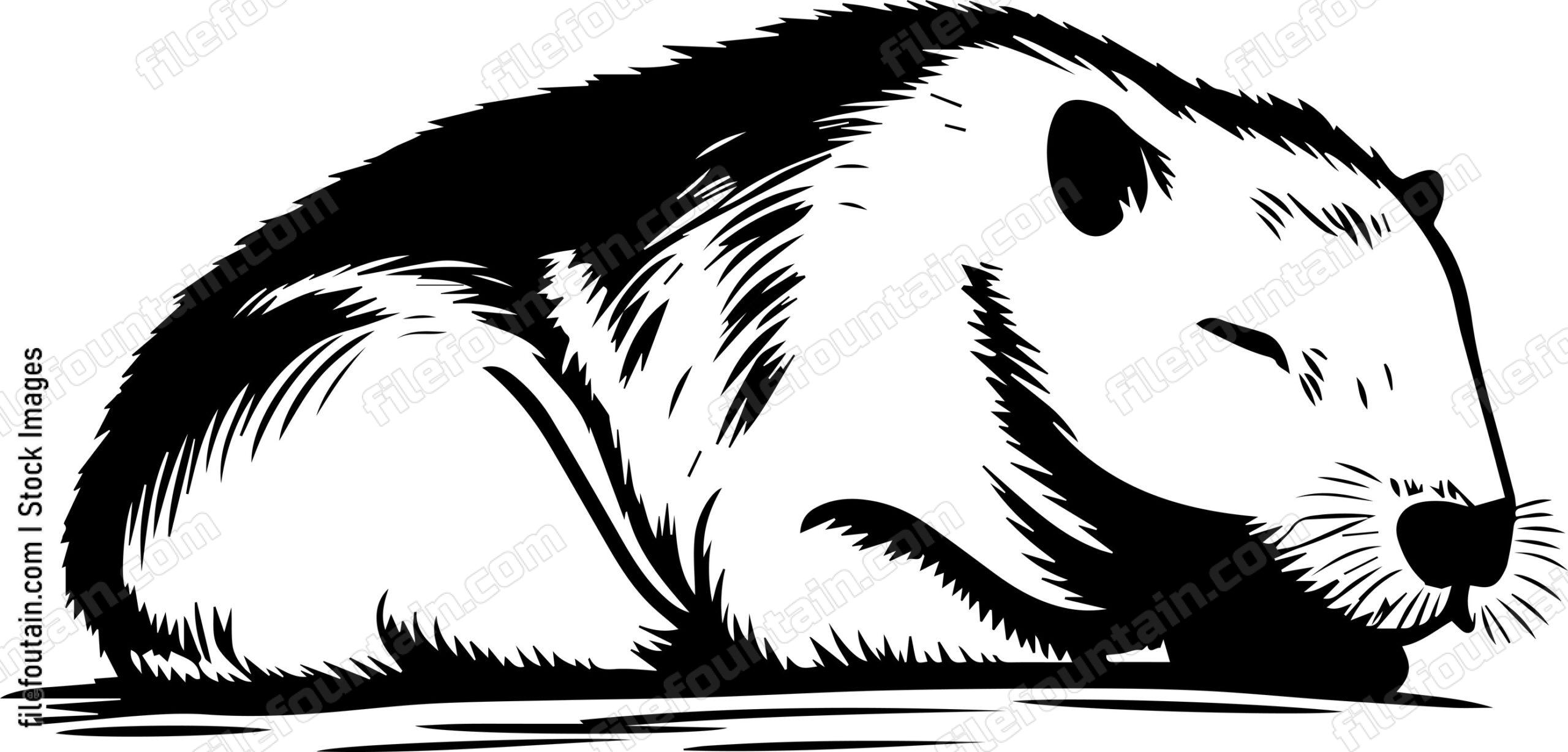 Capybara Sleeping