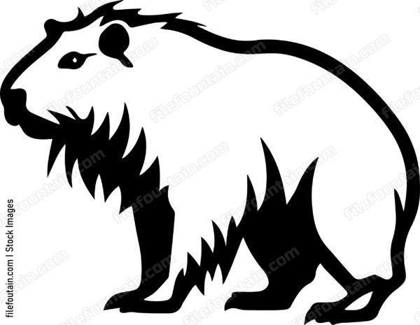 Capybara