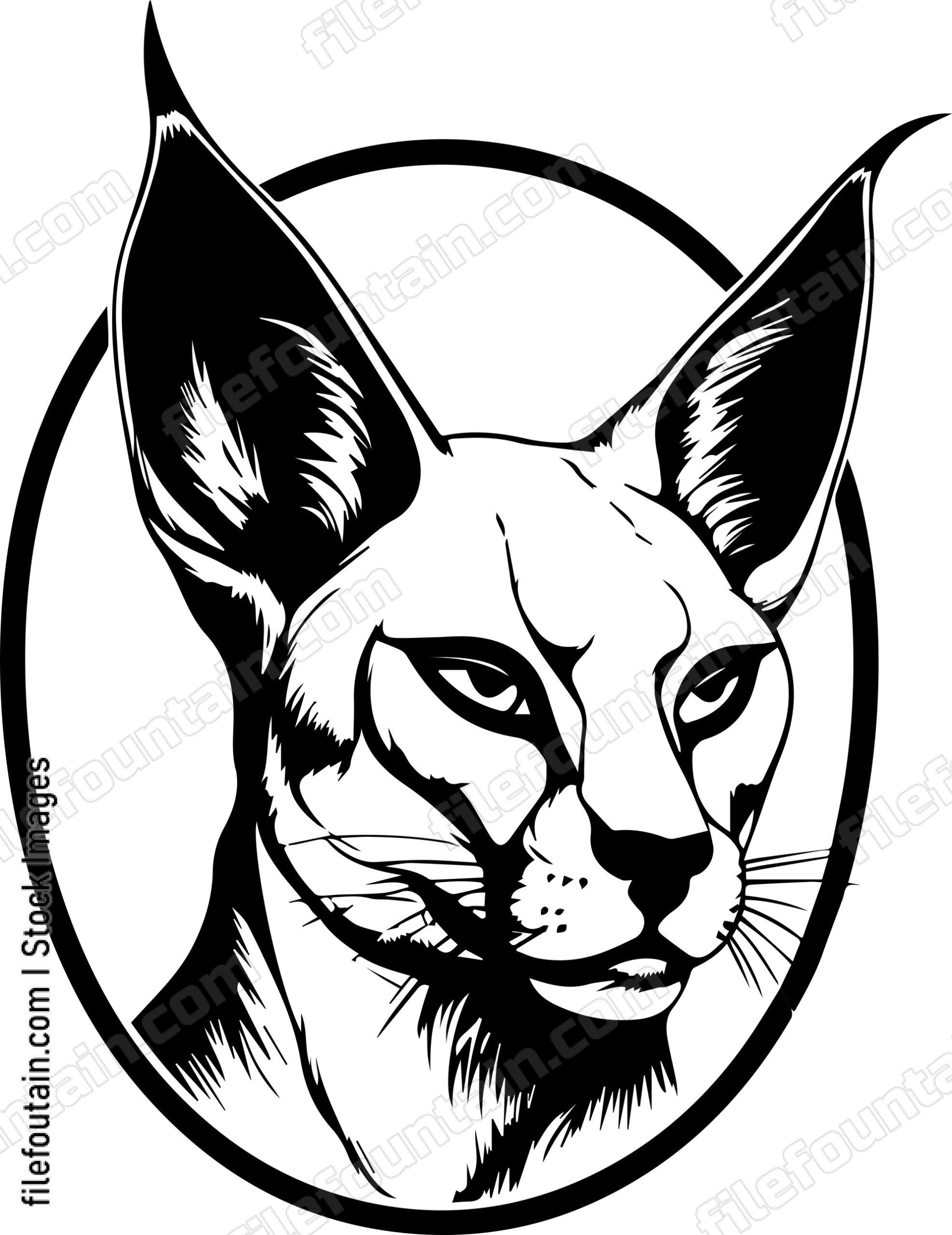 Caracal