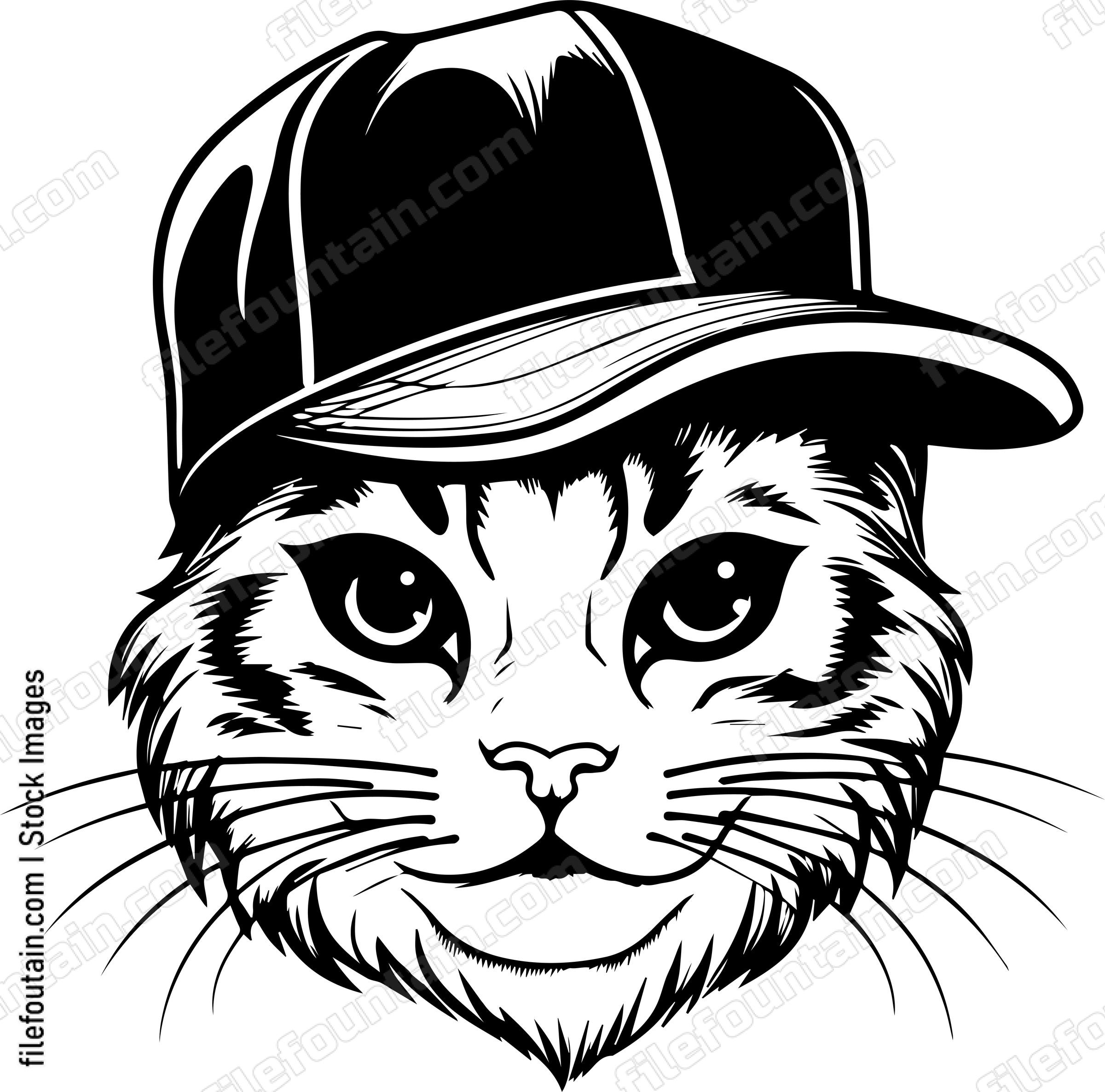 Cat In Baseball Cap