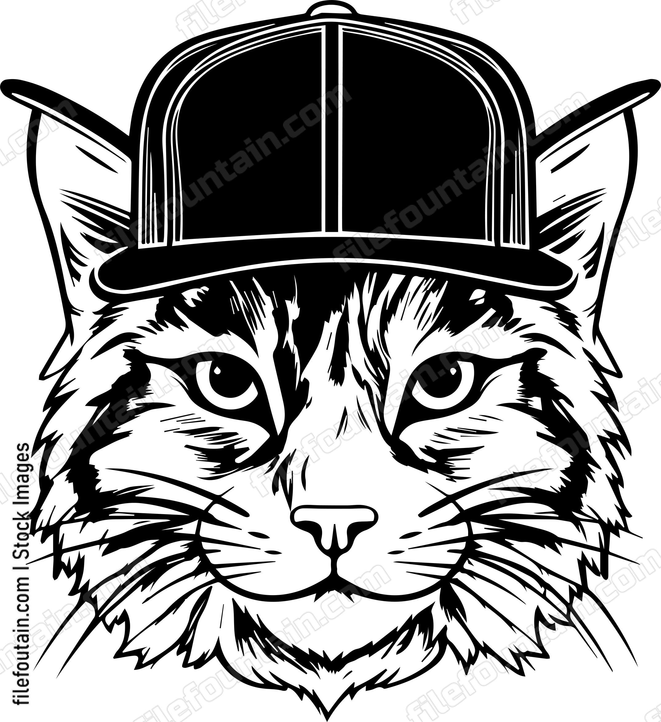 Cat In Baseball Cap