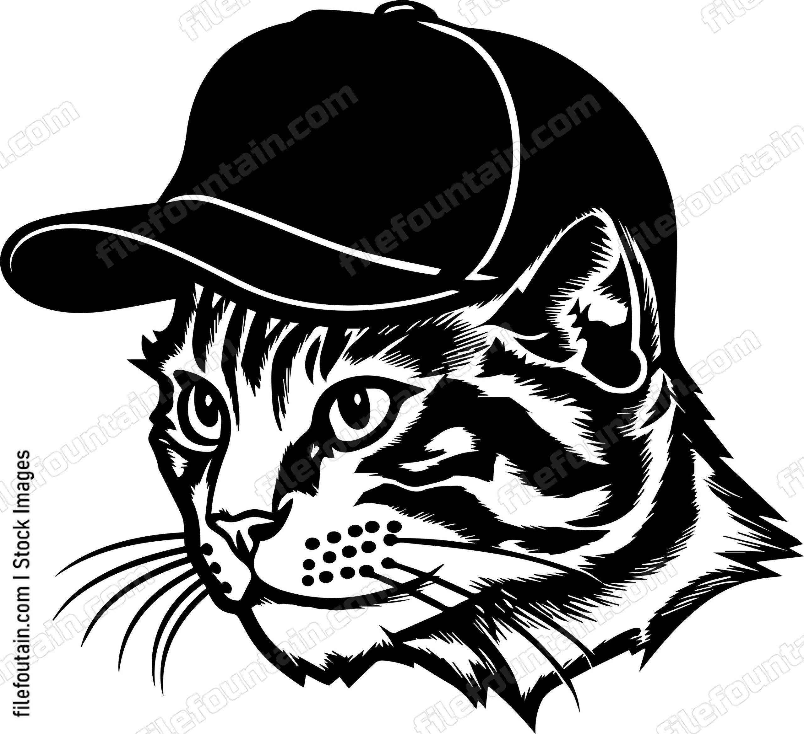 Cat In Baseball Cap