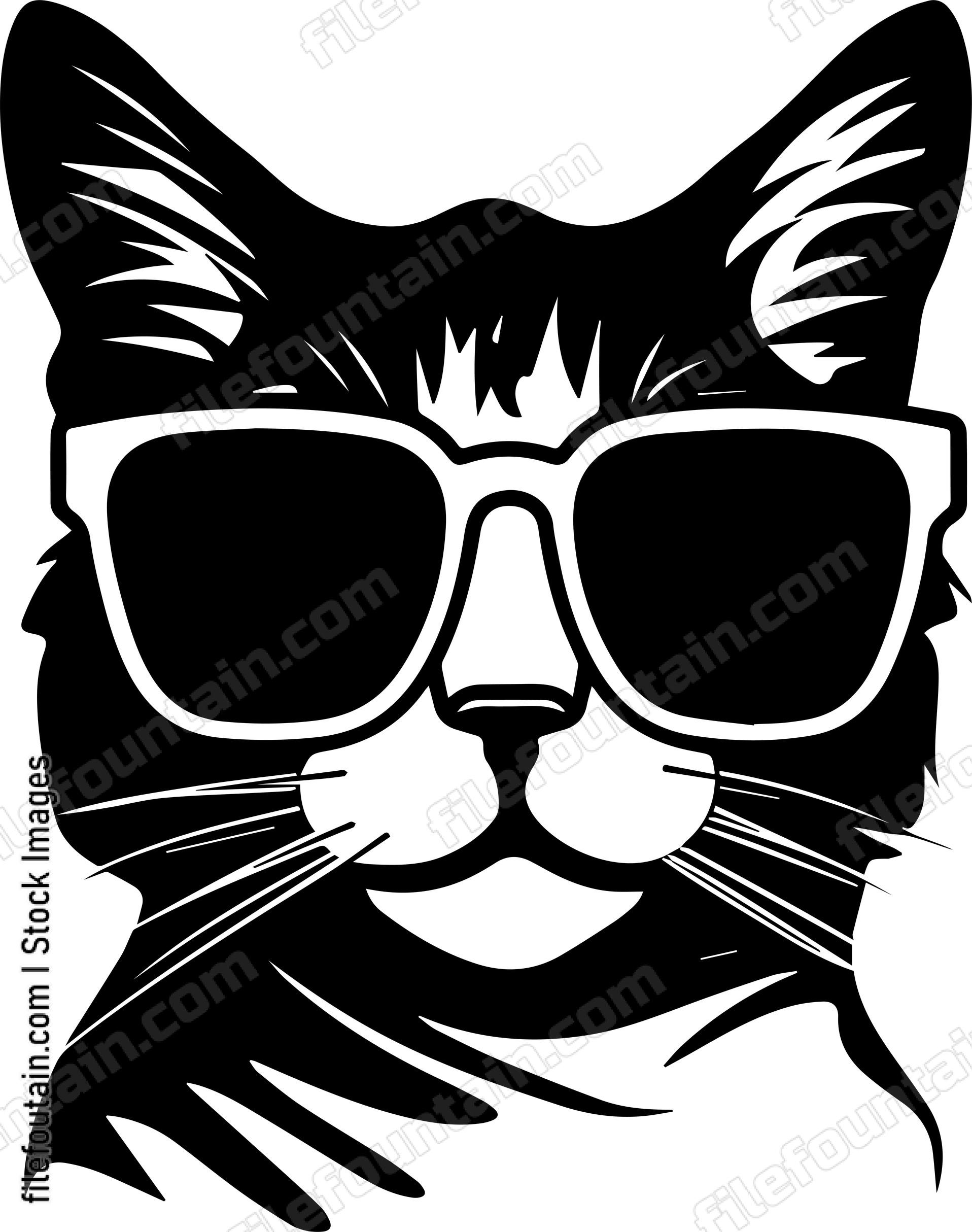 Cat In Sunglasses