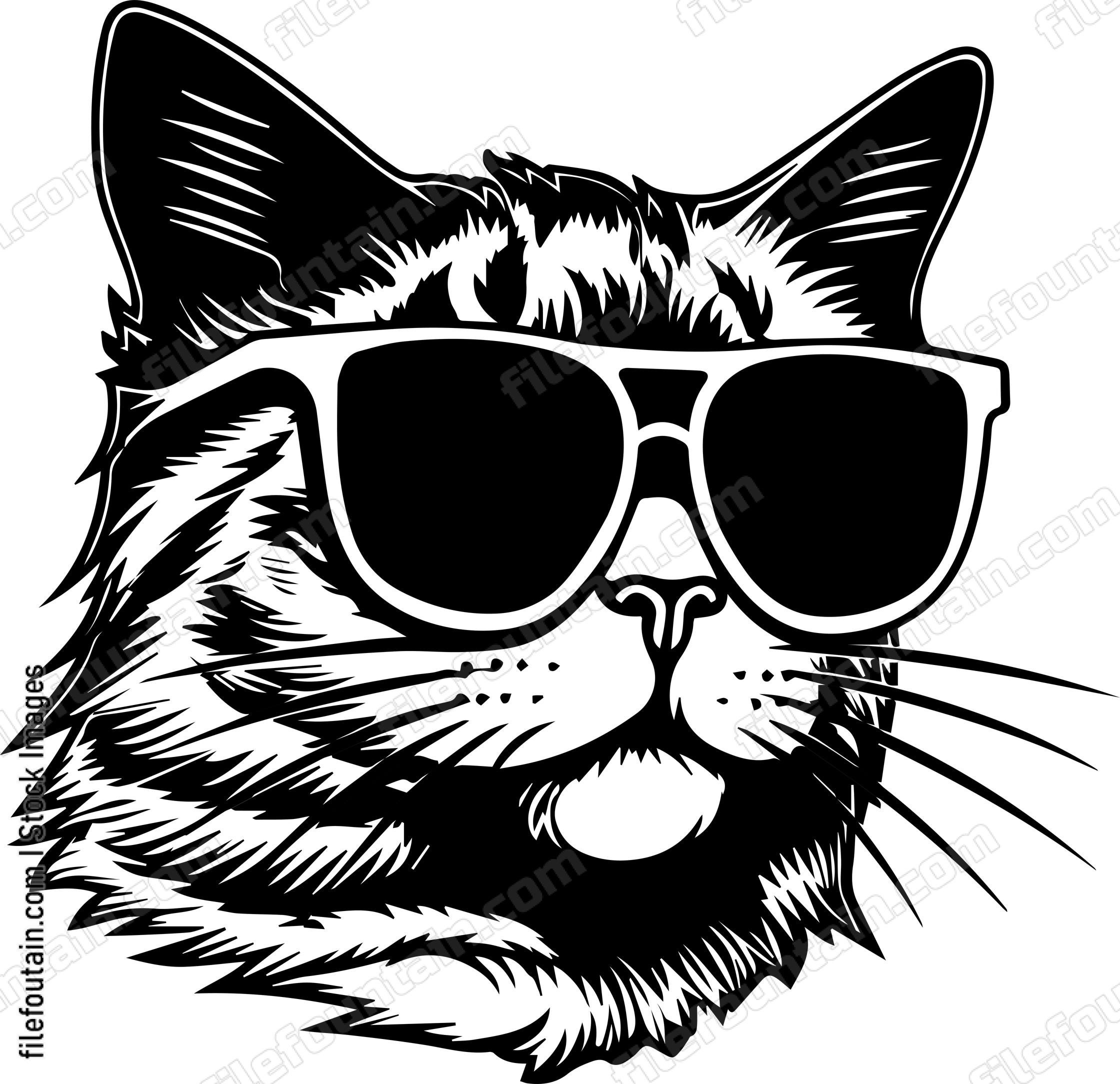 Cat In Sunglasses