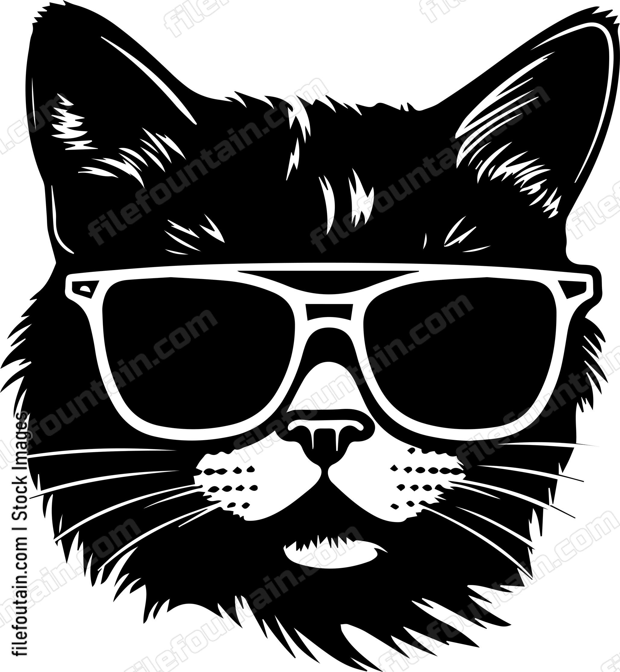 Cat In Sunglasses