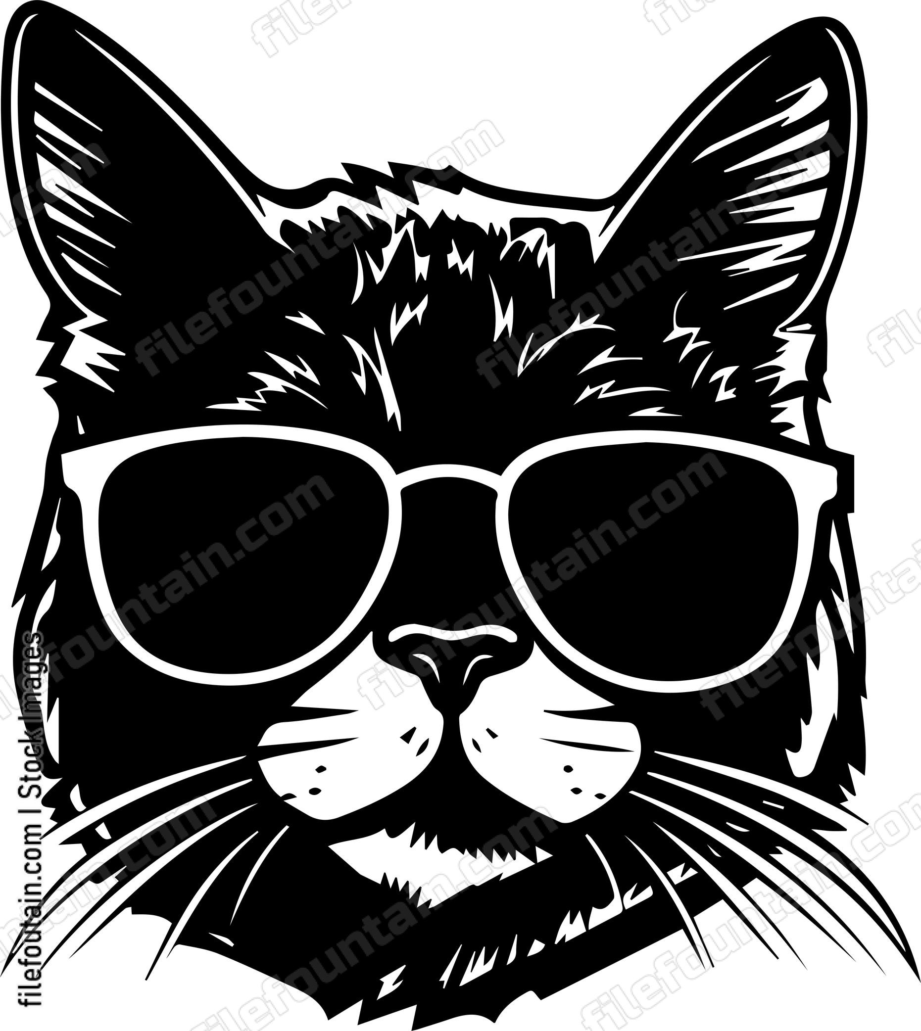Cat In Sunglasses