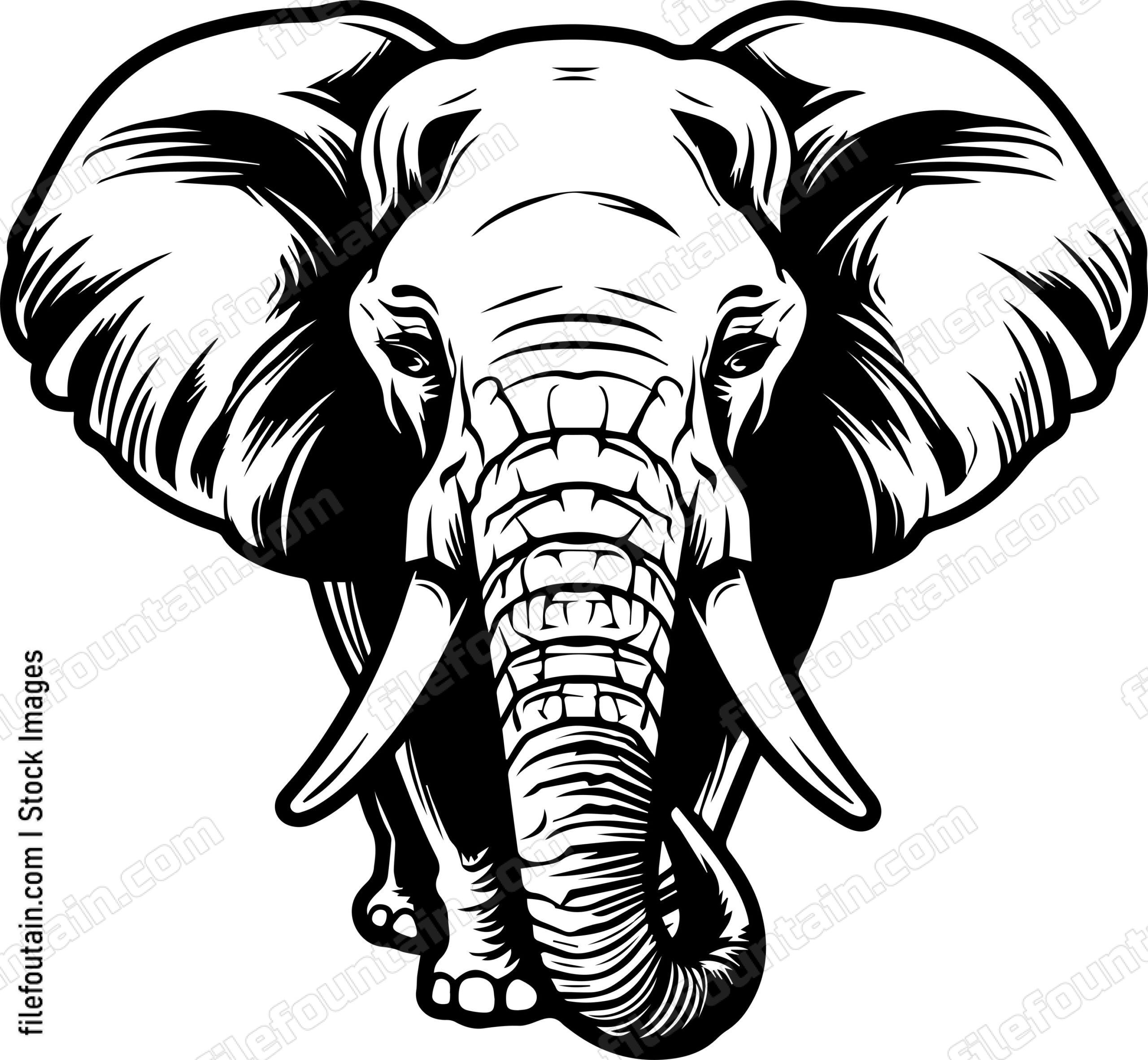 Chargining African Elephant