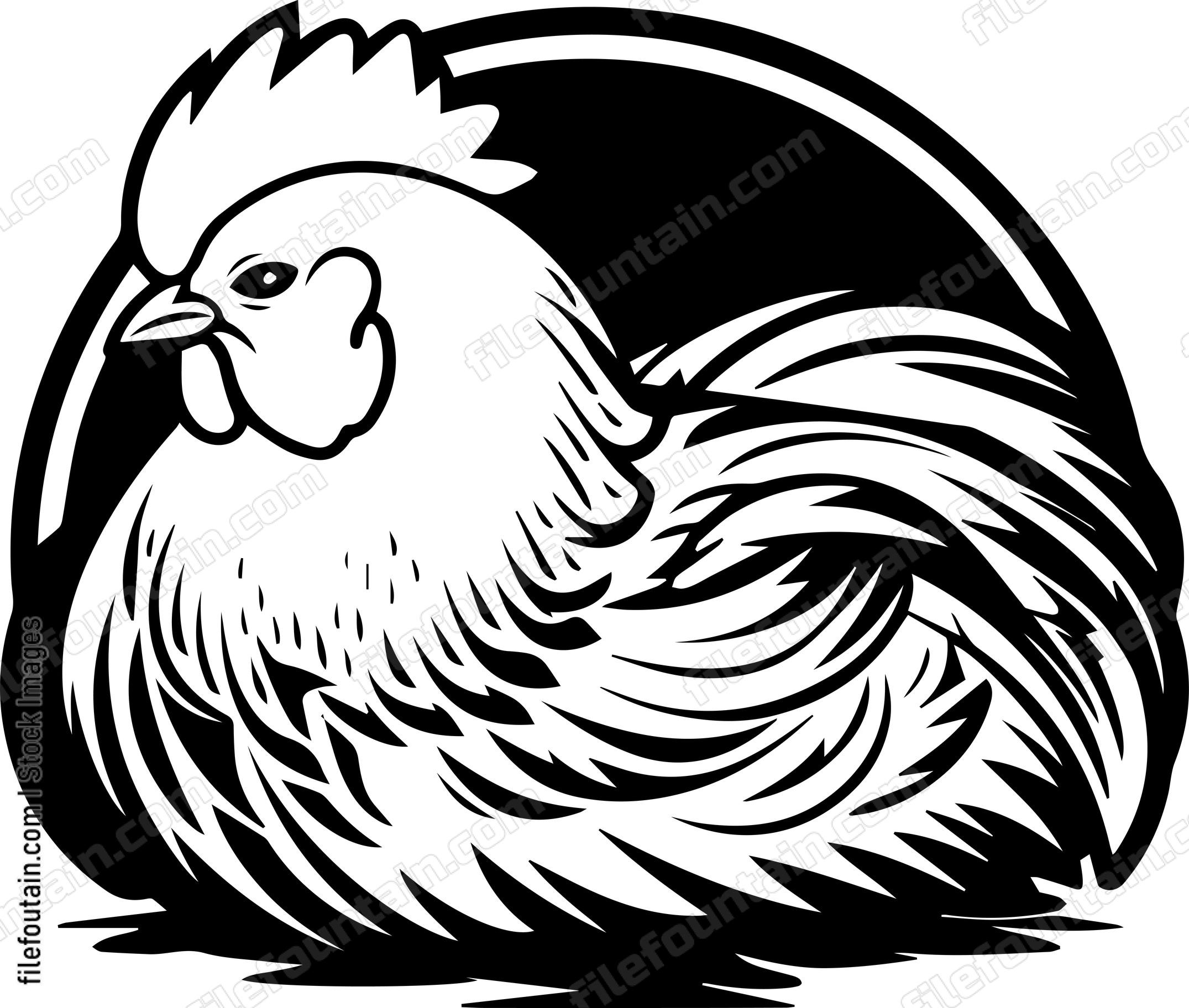 Chicken Nesting Laying Eggs