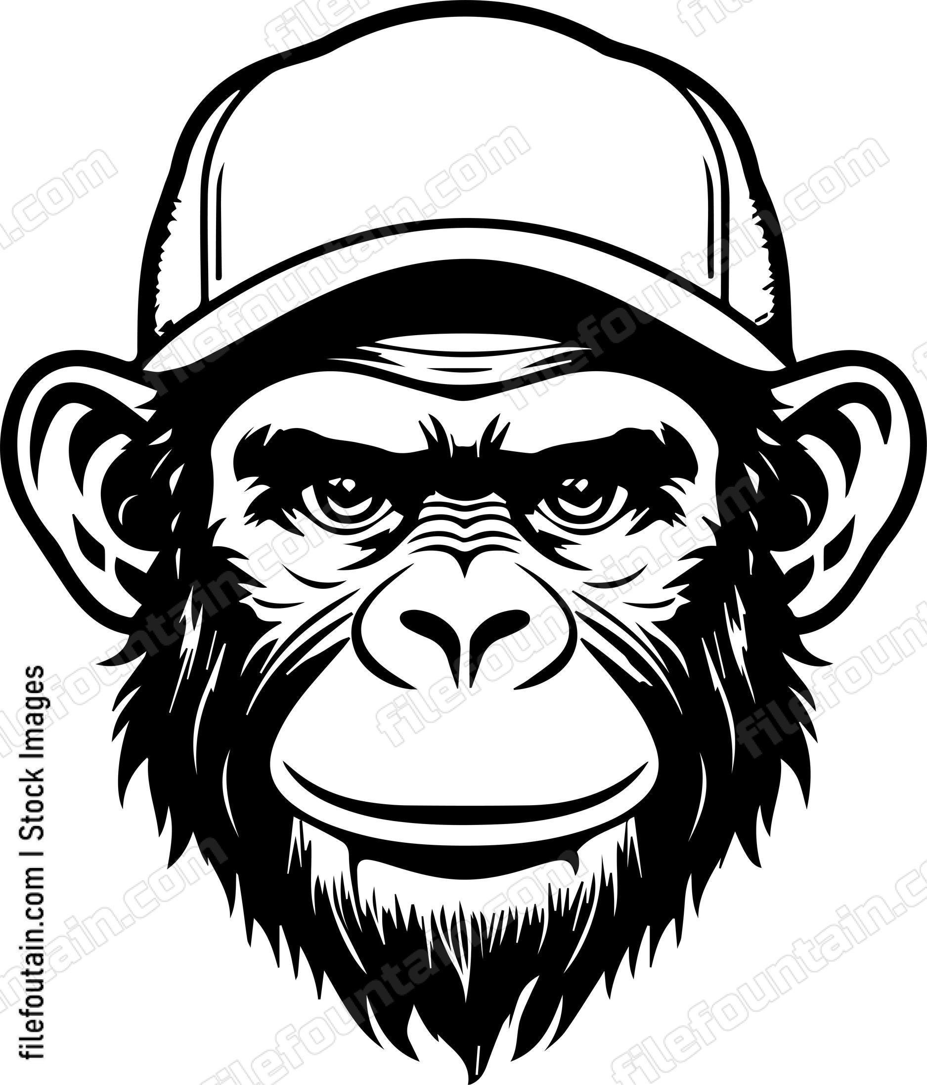 Chimpanzee In Baseball Cap
