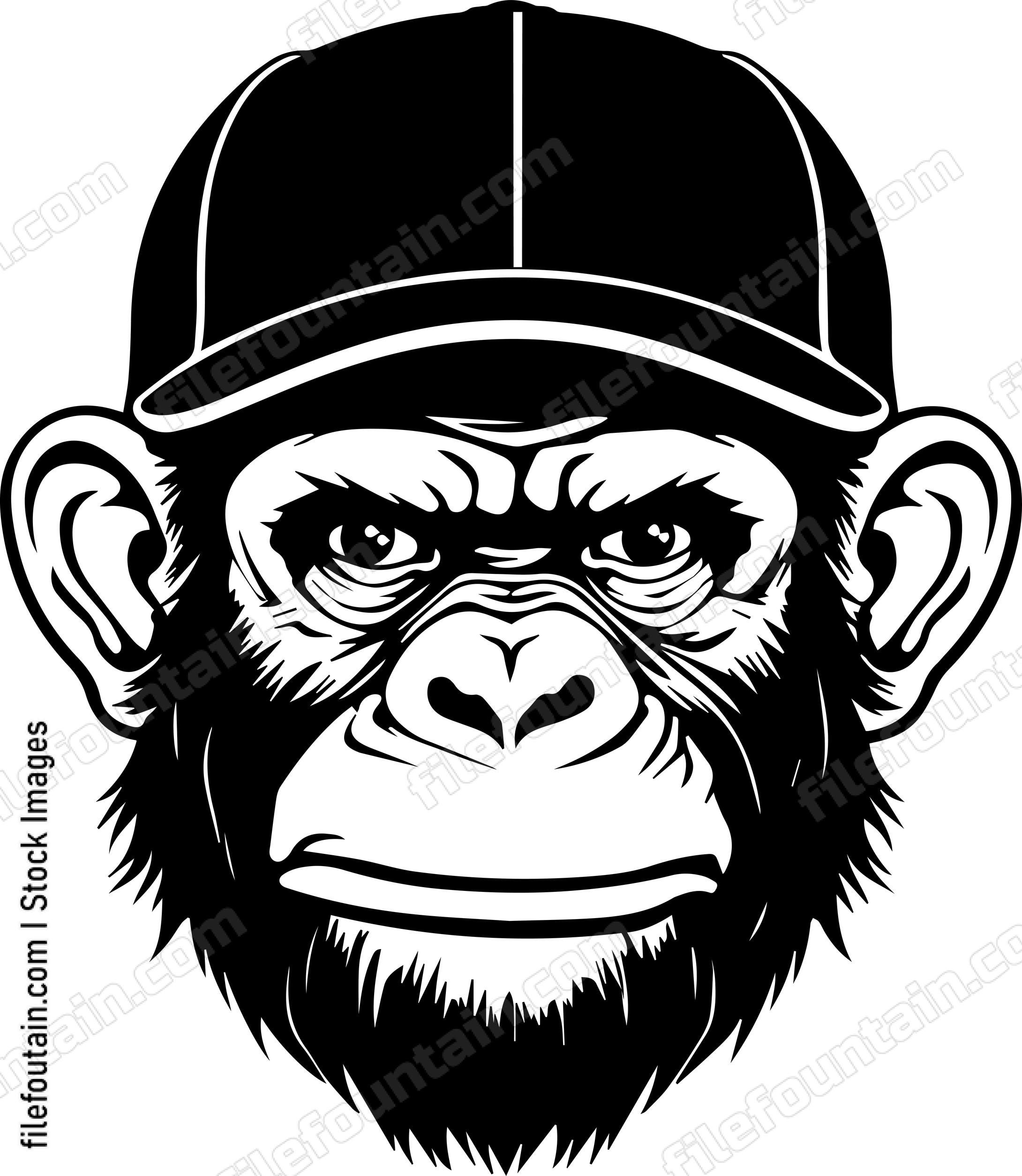 Chimpanzee In Baseball Cap
