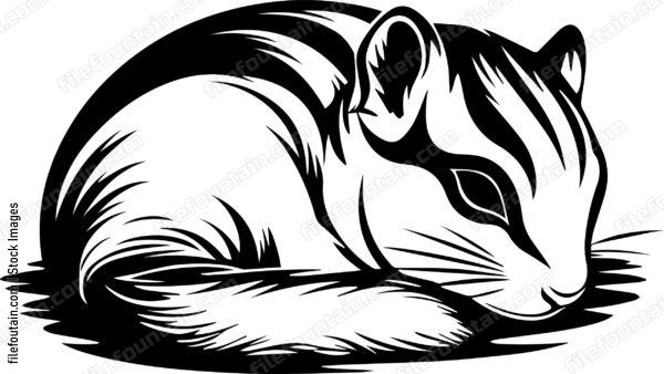 Chipmunk Sleeping