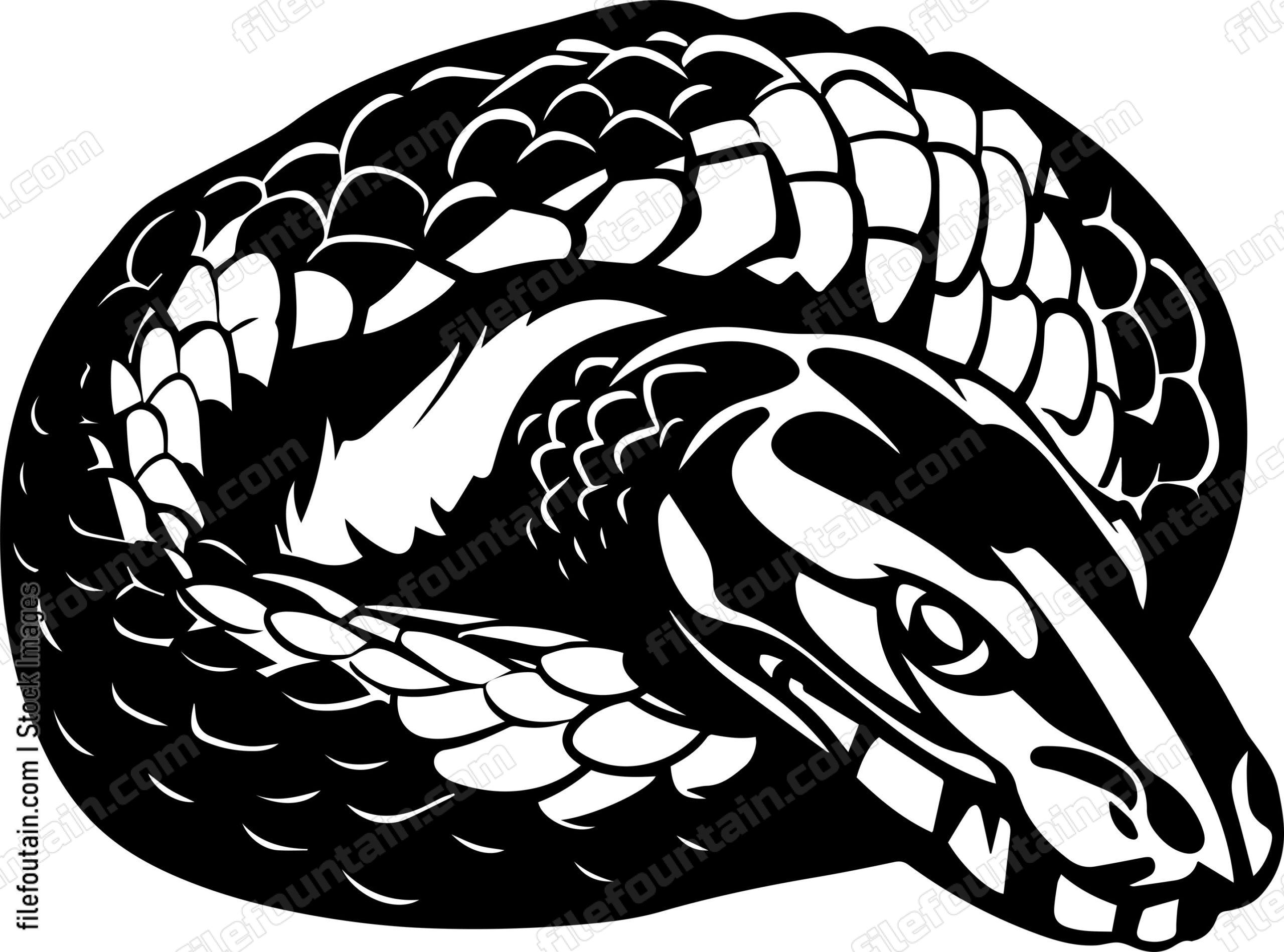 Coiled Snake