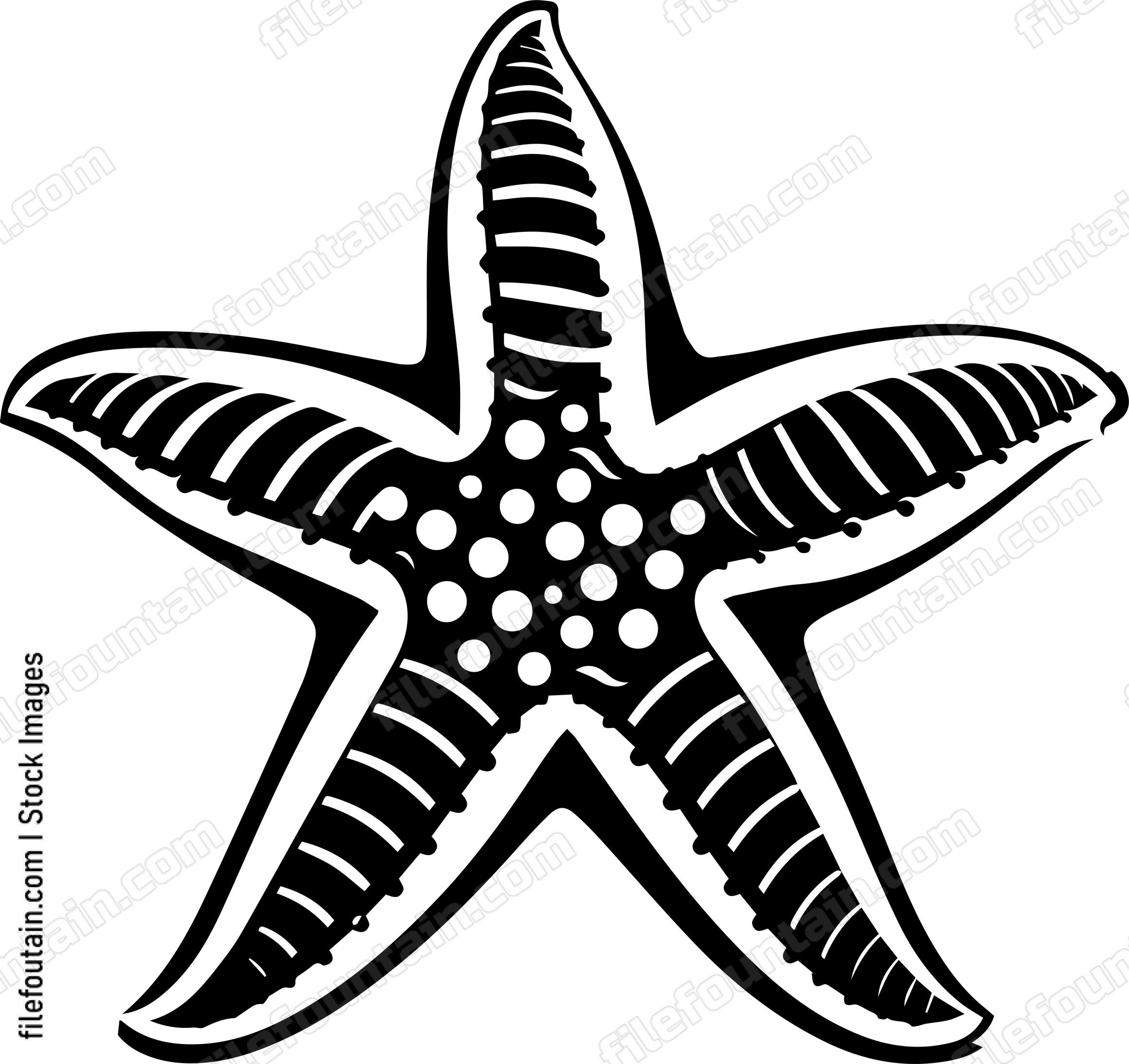 Comb Star