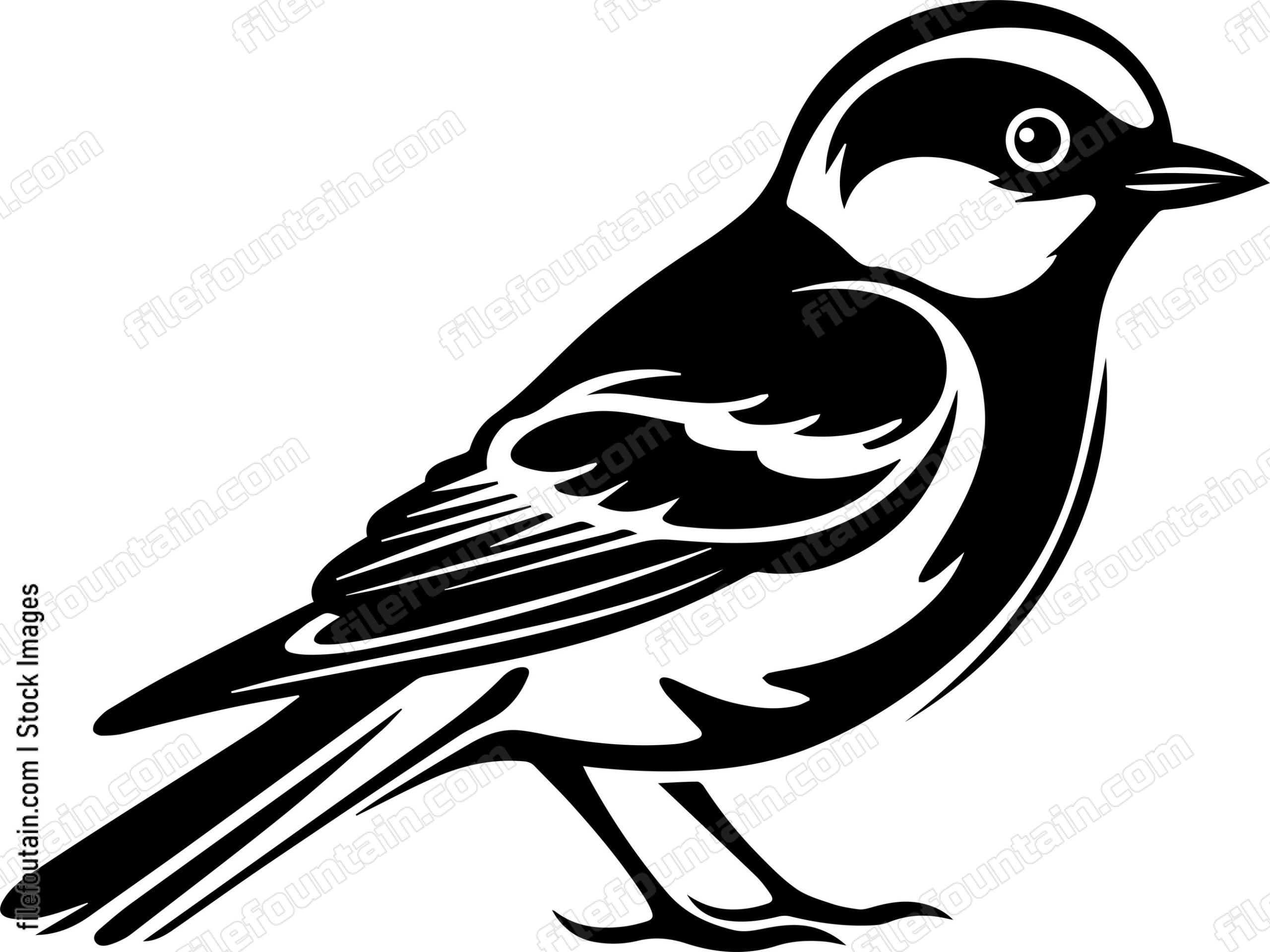 Common Chaffinch