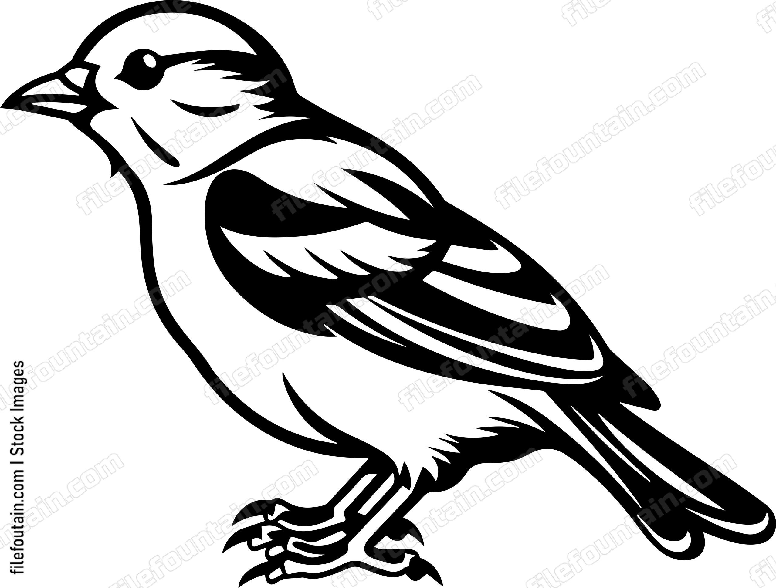 Common Chaffinch