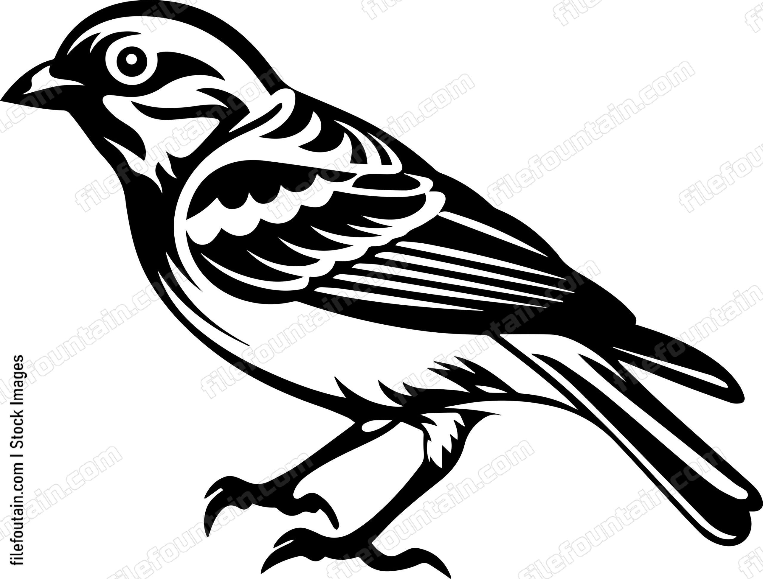 Common Chaffinch
