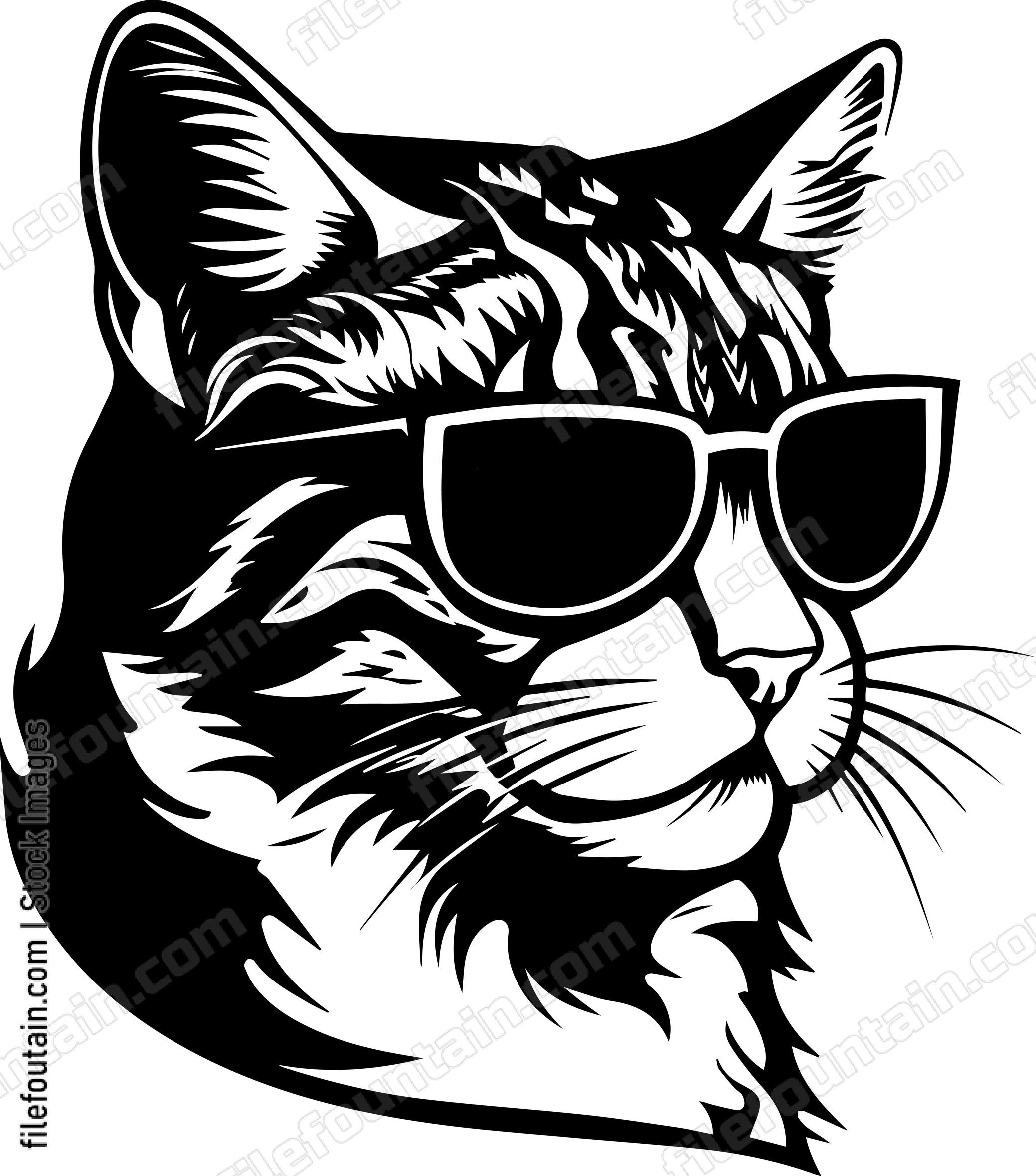 Cool Cat In Sunglasses