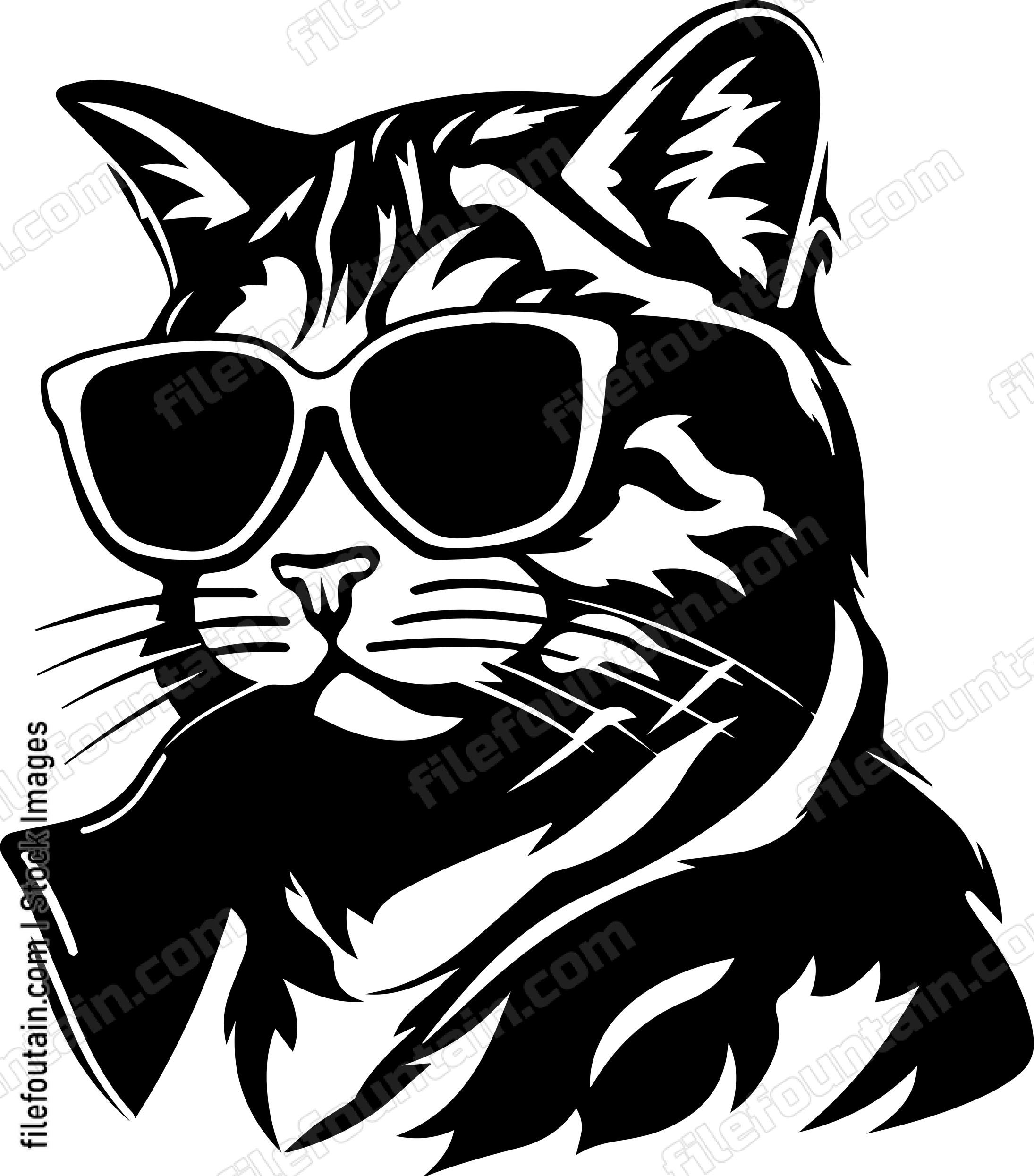 Cool Cat In Sunglasses