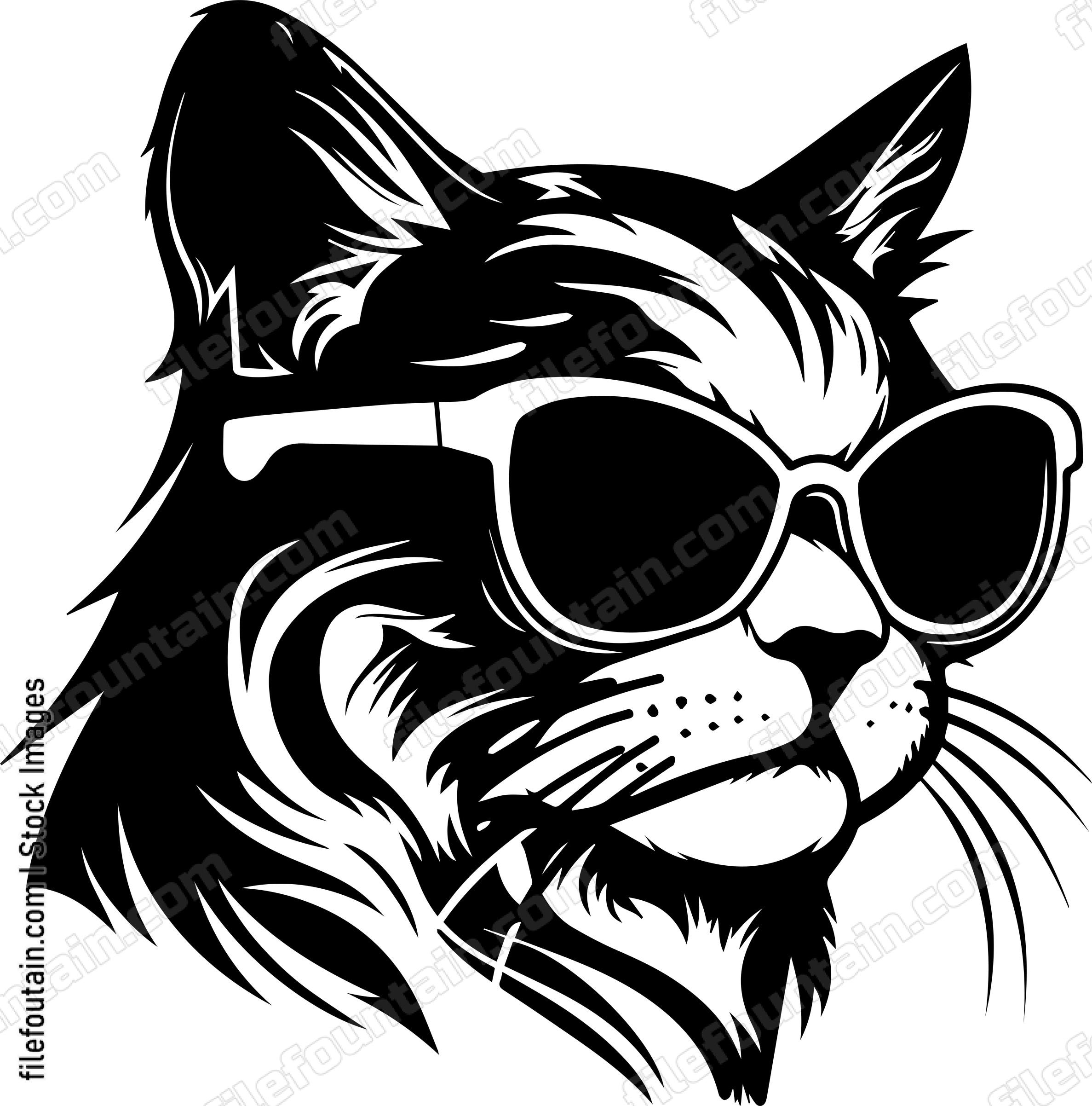 Cool Cat In Sunglasses