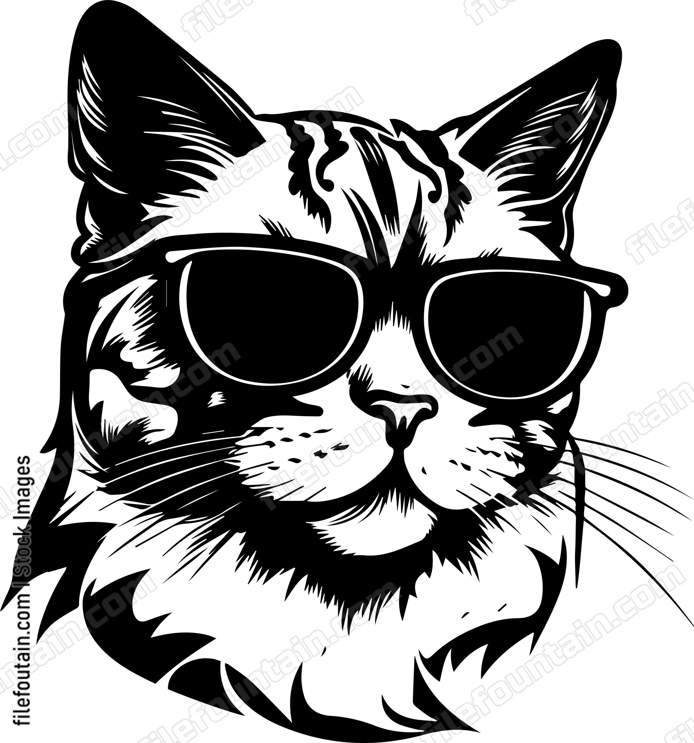 Cool Cat In Sunglasses