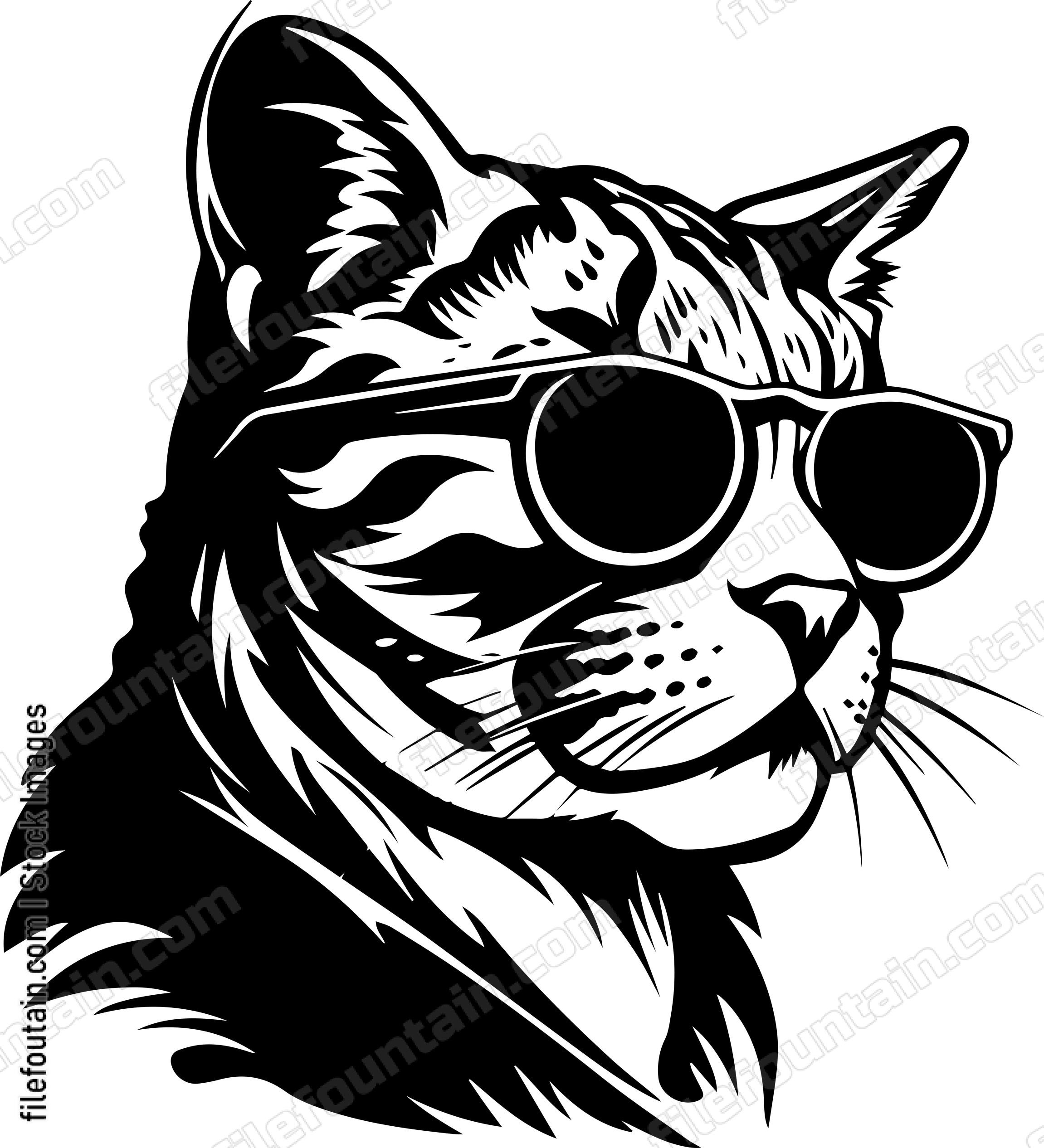 Cool Cat In Sunglasses