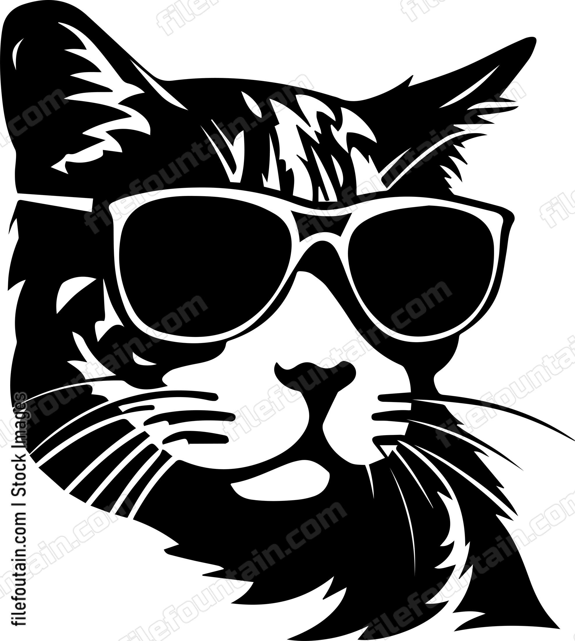 Cool Cat In Sunglasses